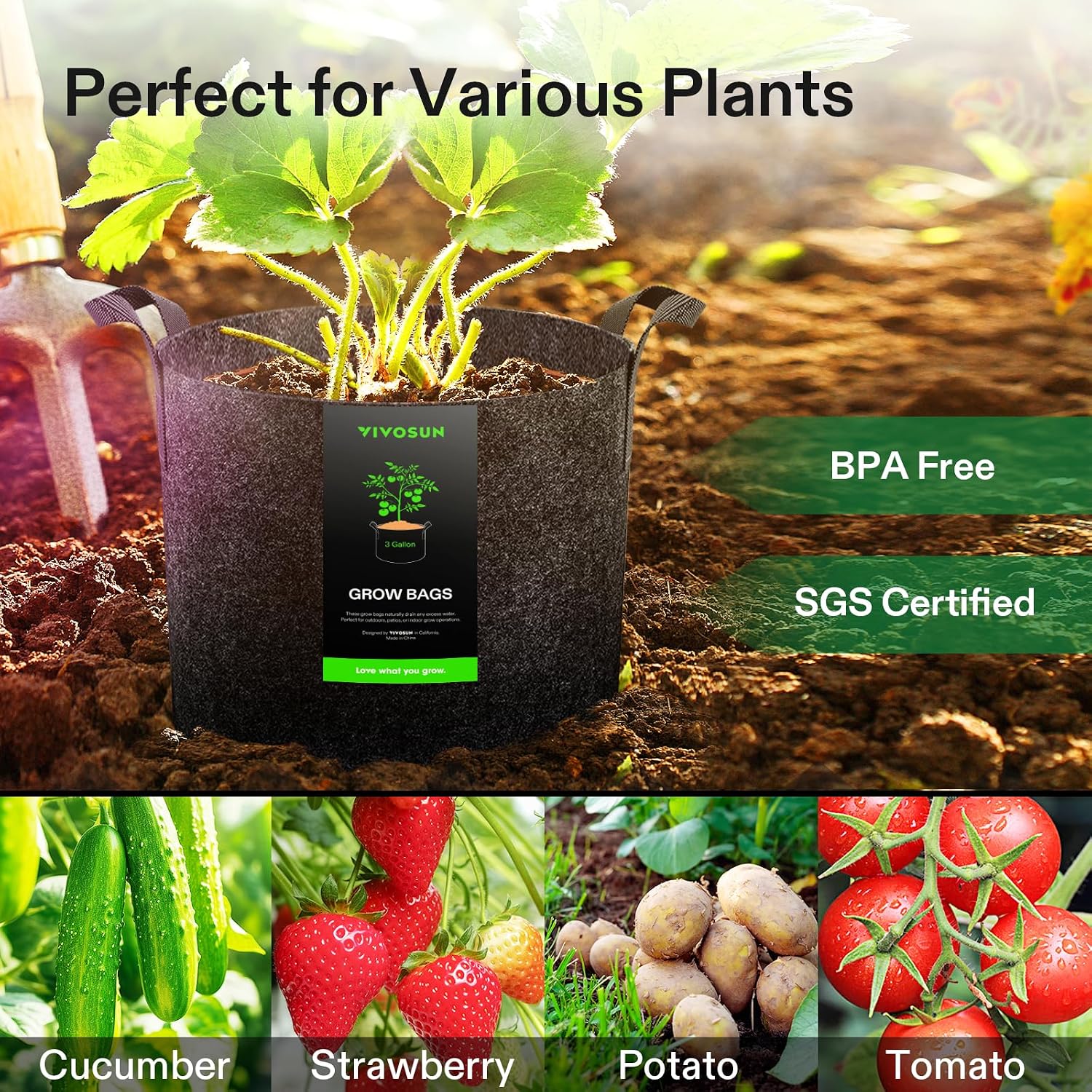 VIVOSUN 5-Pack 3 Gallon Plant Grow Bags Heavy Duty Thickened Nonwoven Fabric Pots with Handles | 300G Thickened Nonwoven Fabric, Excellent Drainage, Healthy Root Growth, BPA-Free, Reusable