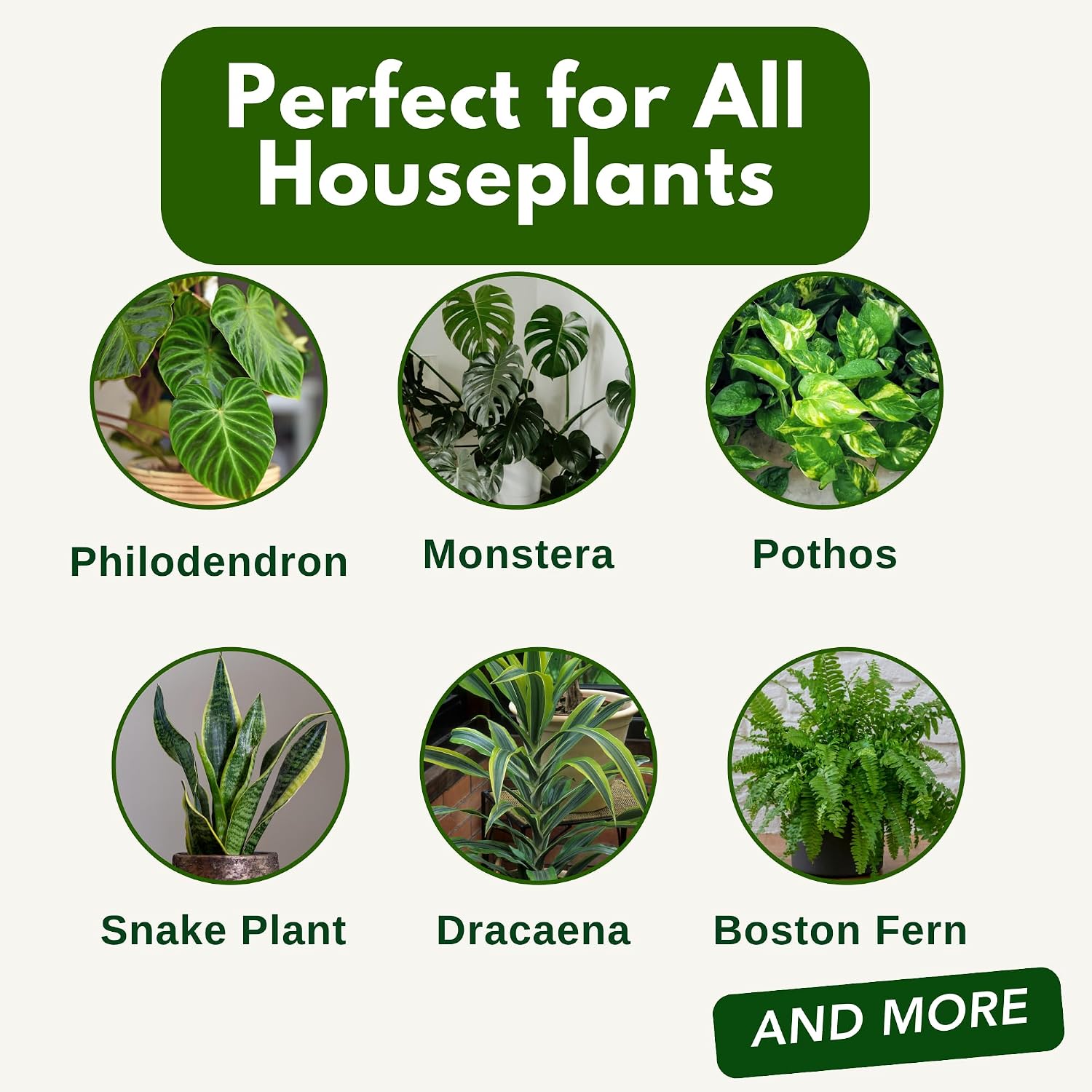 Houseplant Food 16oz Concentrated Fertilizer for Pothos, Monstera and More - All Purpose Indoor Plant Food - Makes up to 80+ Gallons - Cute Farms
