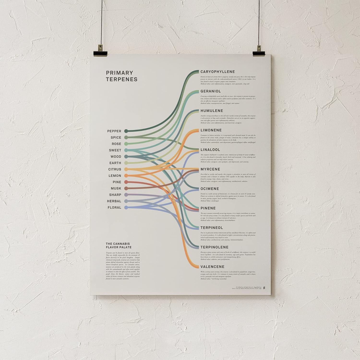 Goldleaf Primary Terpenes Art Print: The Cannabis Flavor Palate Infographic Chart, Terpene Poster, Marijuana Flavors Infographic, Elevated Stoner Decor, Weed Chart Wall Art (18x24)