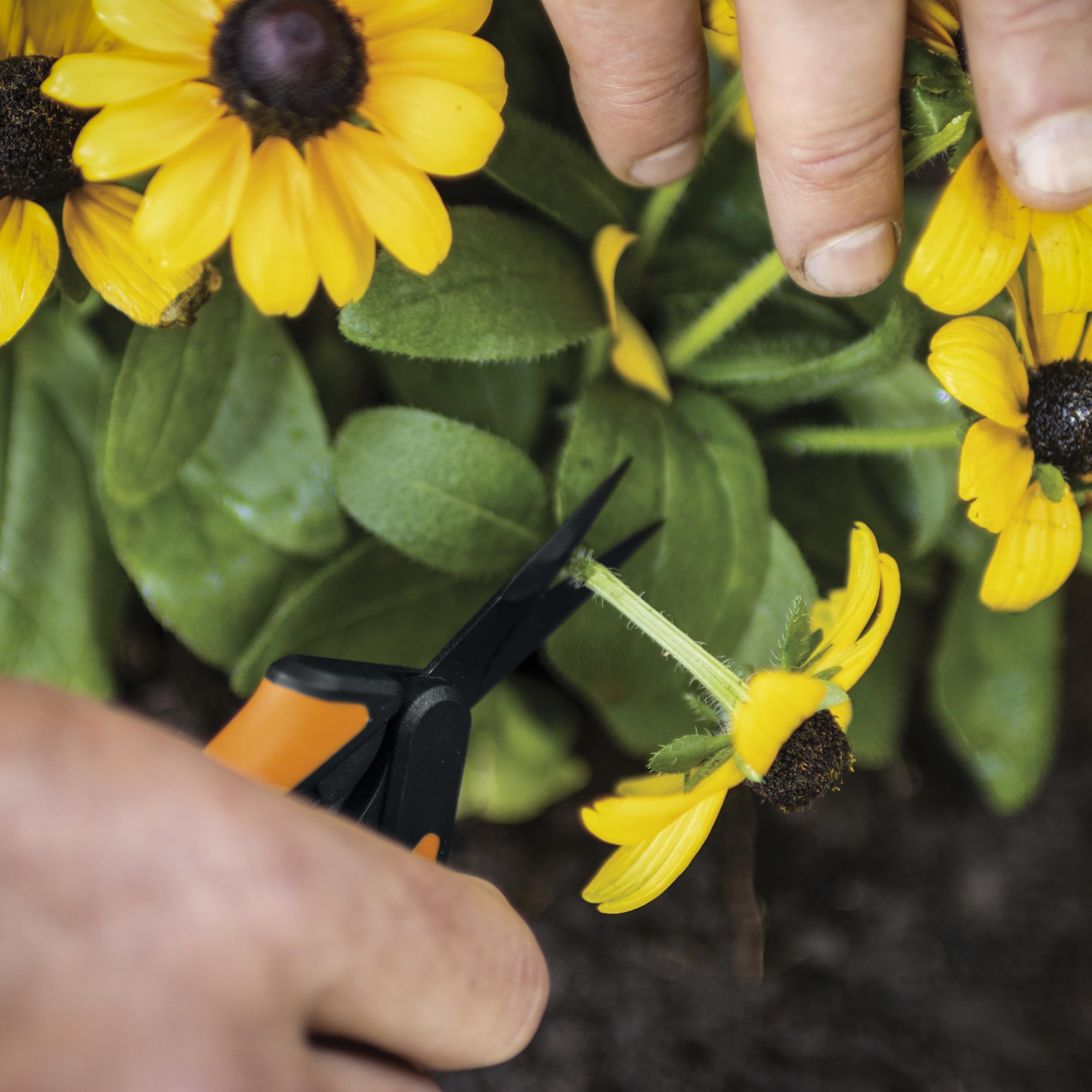 Fiskars 6" Non-Stick Pruning Snips, Resin-Resistant Garden Scissors