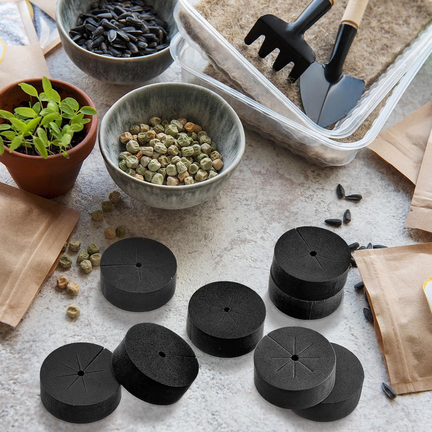 Lallisa 240 Pcs Clone Collars 2 Inch Foam Inserts for Hydroponic Cloning Machines Fits 2" Net Pots Reusable Collars for Hydroponics Plant Germination in DIY Cloner and Clone Machines (Multicolor)