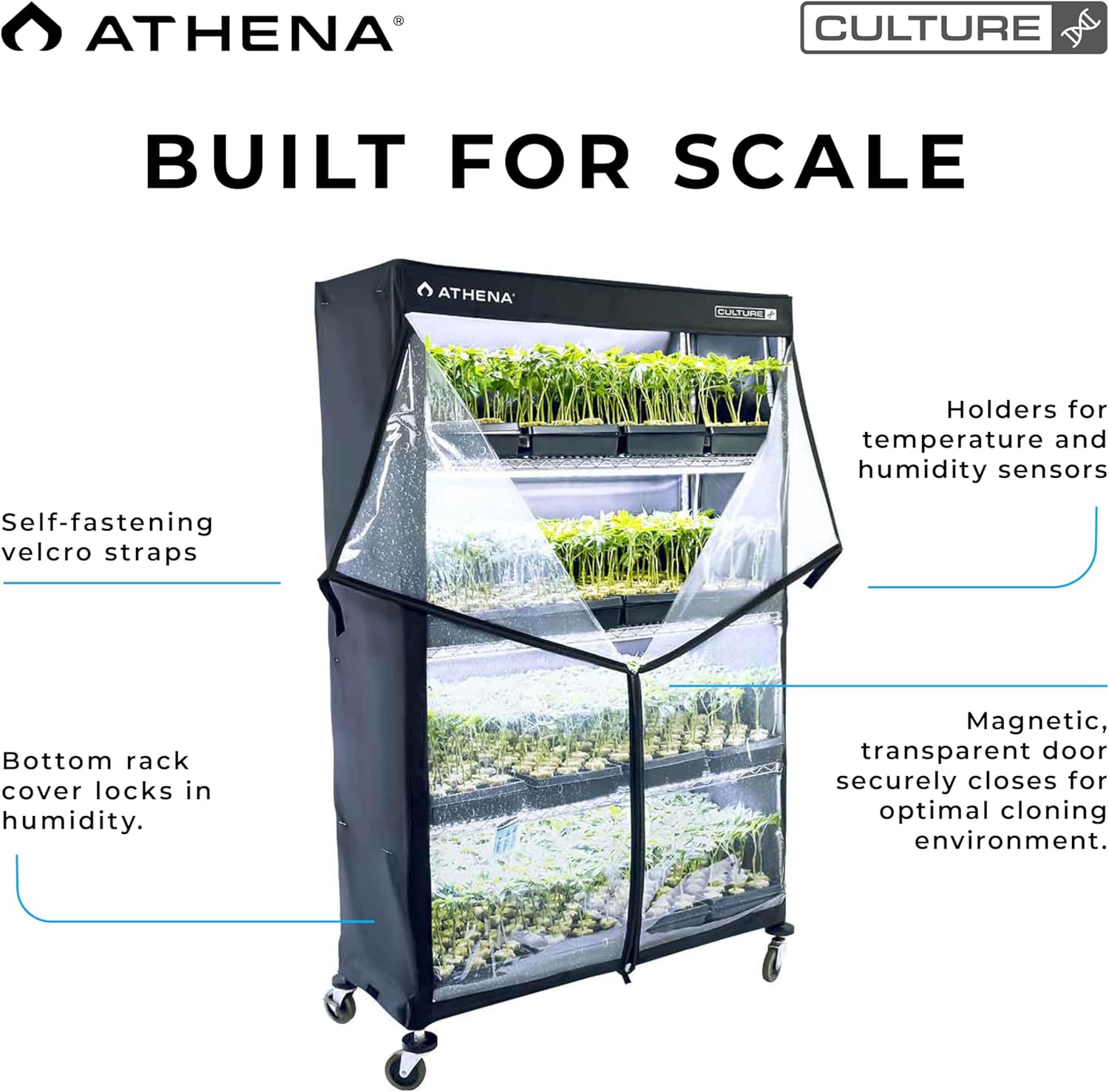 Athena Culture VPDome Indoor Greenhouse for Plant Propagation | TC-VPD