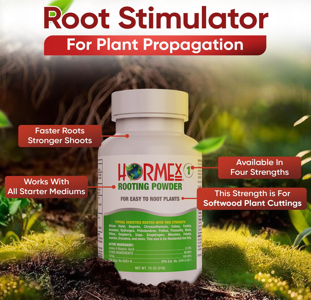 Hormex Rooting Hormone for Cuttings #16 - Max-Strength Powder (1.60% IBA) | Maximum Strength Rooting Hormone, Root Stimulator for Plants, Rooting Powder Compound for Difficult Hardwood Plants & Trees