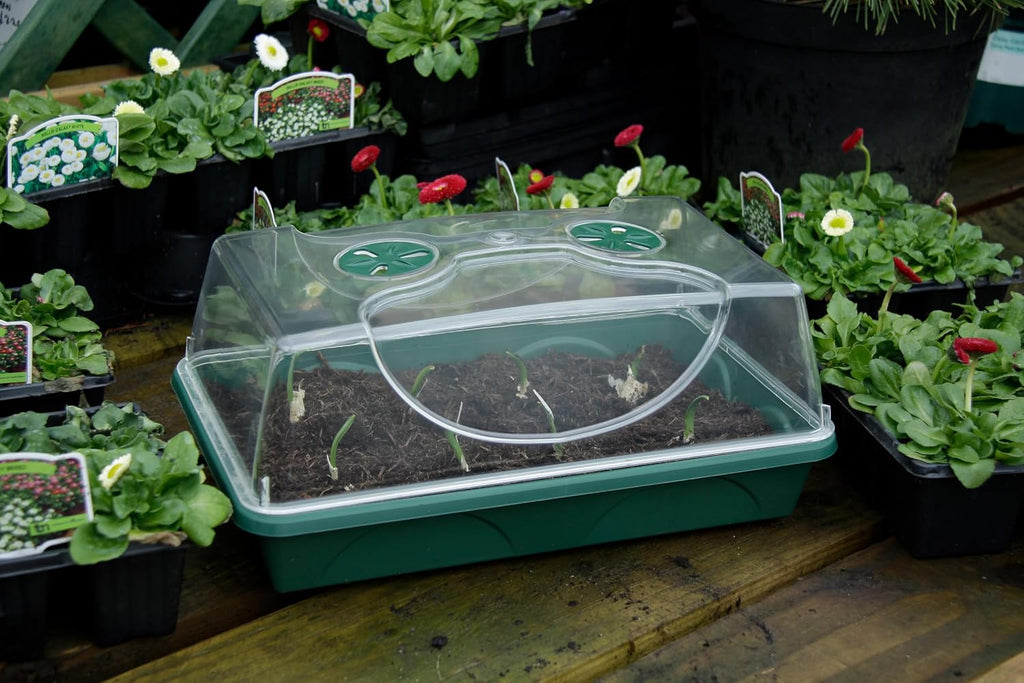 Medium Seed and Herb Domed Propagator with Vented Side Height Extension and Security Clip Set,Green