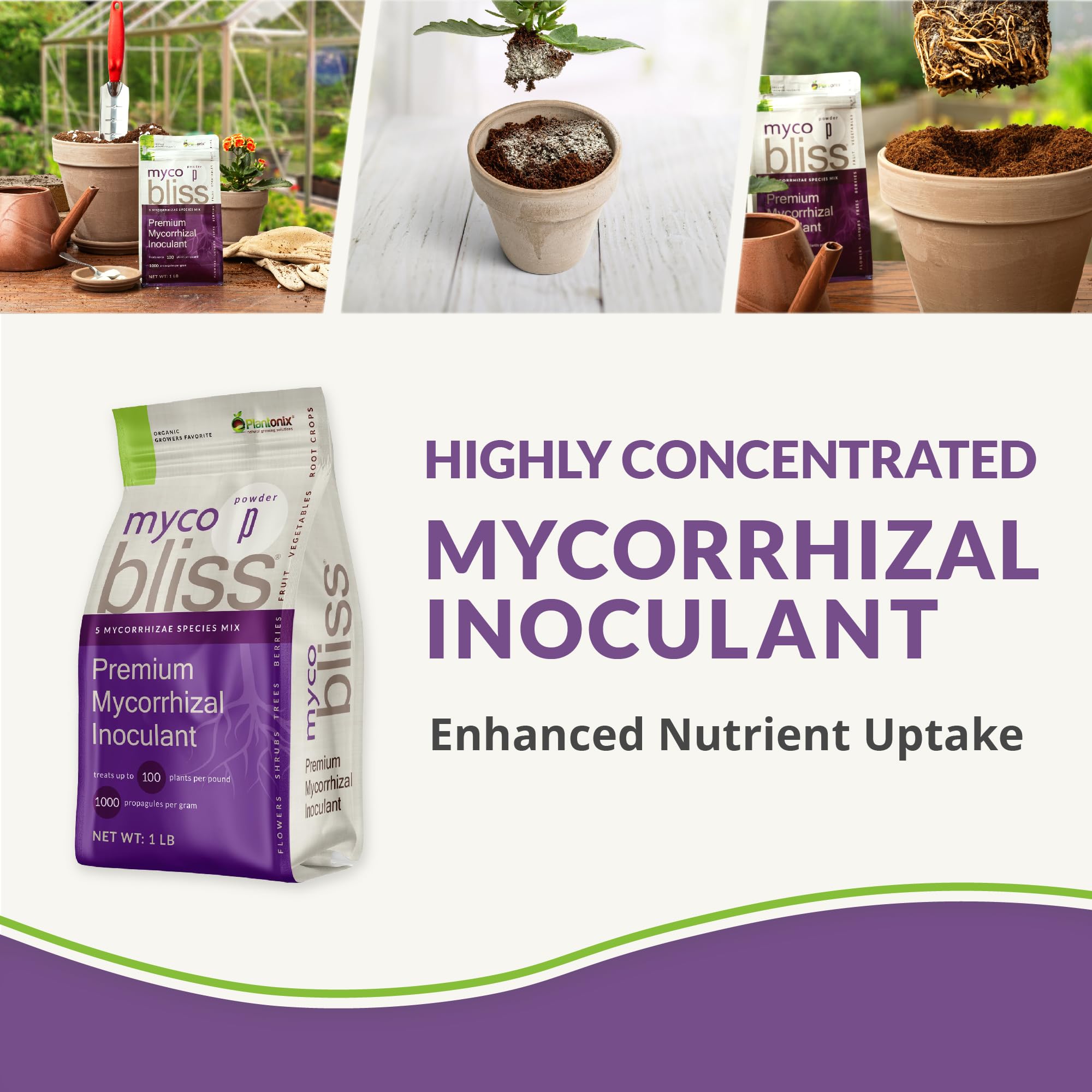 Myco Bliss Granular (2lbs) - Mycorrhizal Fungi for Plants - 5 Strain Mycorrhizal Inoculant with 1000 Propagules Per Gram - Highly Concentrated Mycorrhizae for Plants, Potting Soil, & Garden Soil