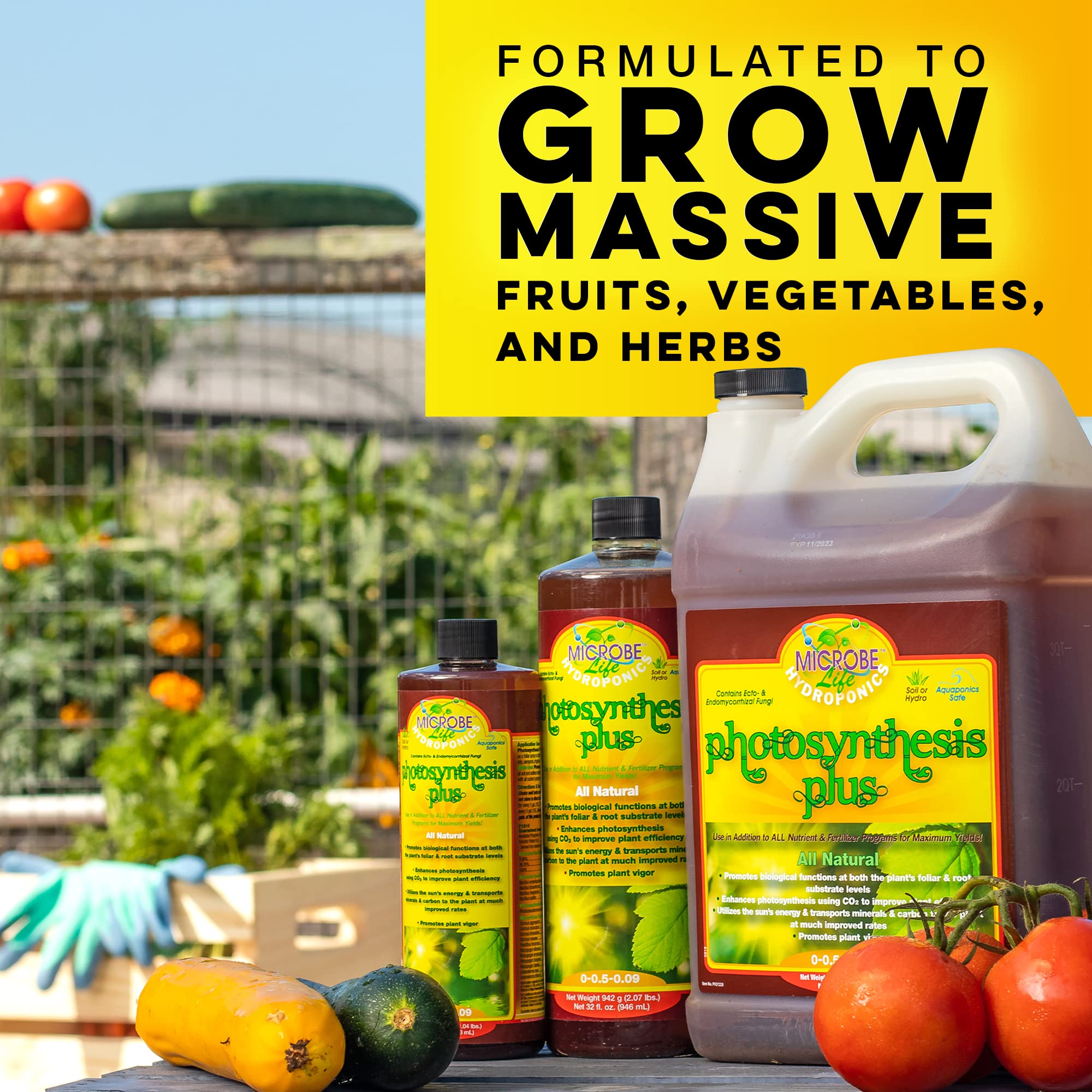Microbe Life Hydroponics Premium Photosynthesis Plus to Grow Fruits, Vegetables, and Herbs, The Best Professional Big Bud Grow, Use with Any Feeding Systems Including Hydroponics or Soil, 16 Ounces
