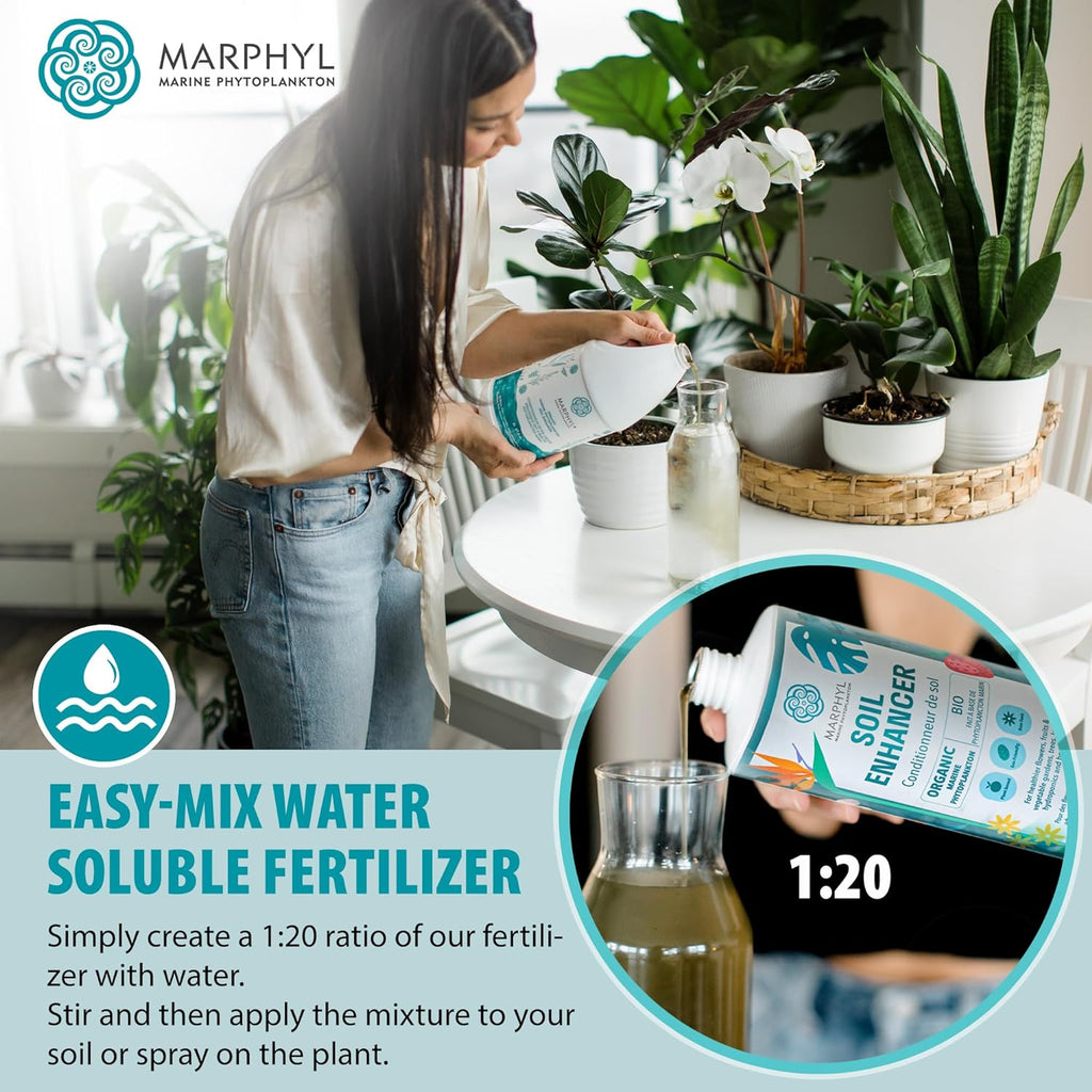 MARPHYL All-Purpose Plant Food – Organic Nutrient-Rich Fertilizer & Soil Enhancer for Indoor & Outdoor Flowers, Vegetables, Succulents, Bamboo & Hydroponics