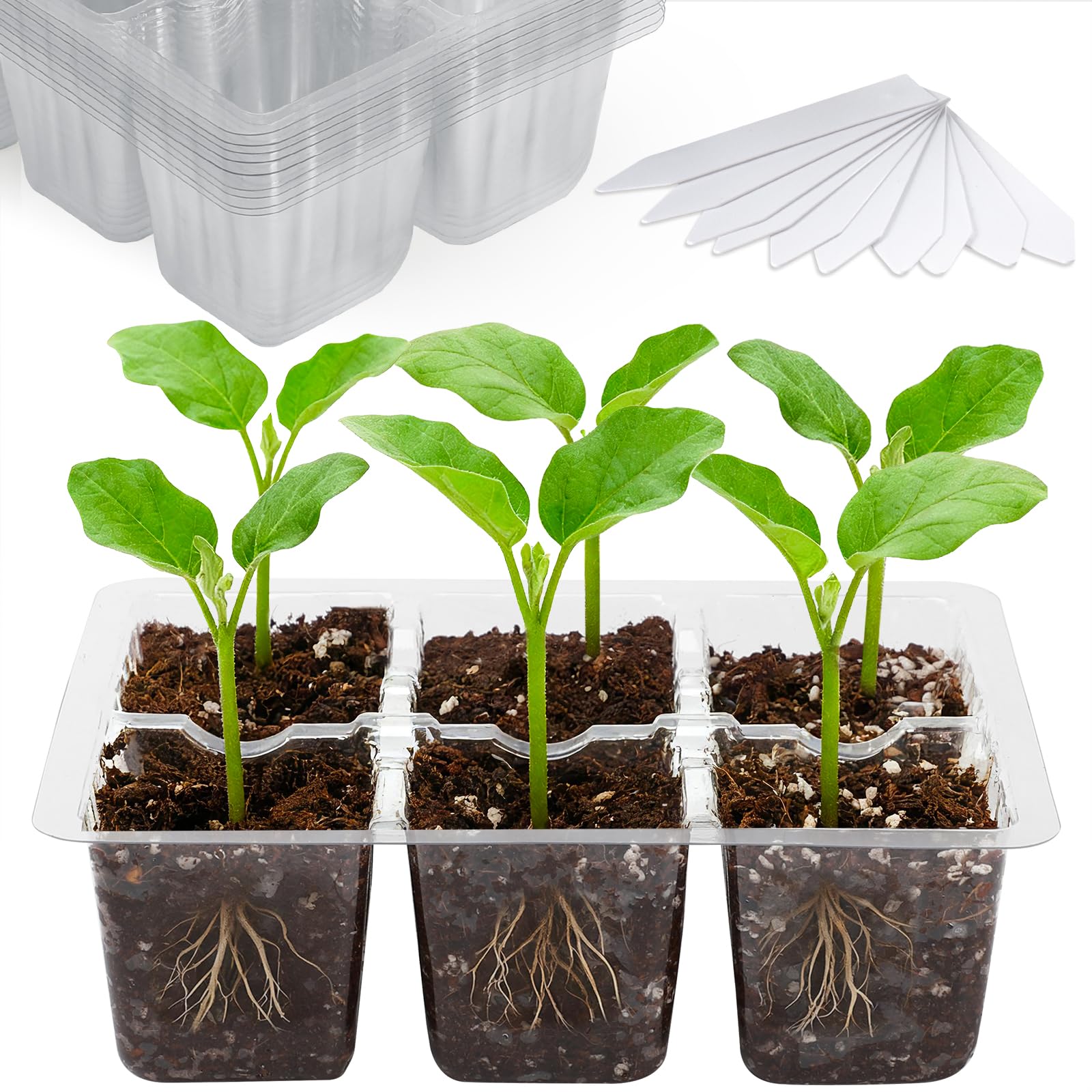 10-Pack Seed Starter Trays, Tall Dome, Base, 12-Cell Tray, Clear | 10 Seedling Kits with Tall Domes for Large Seed Starting. Adjustable Vents, Clear Trays & Heat Mat Compatibility, Indoor Use