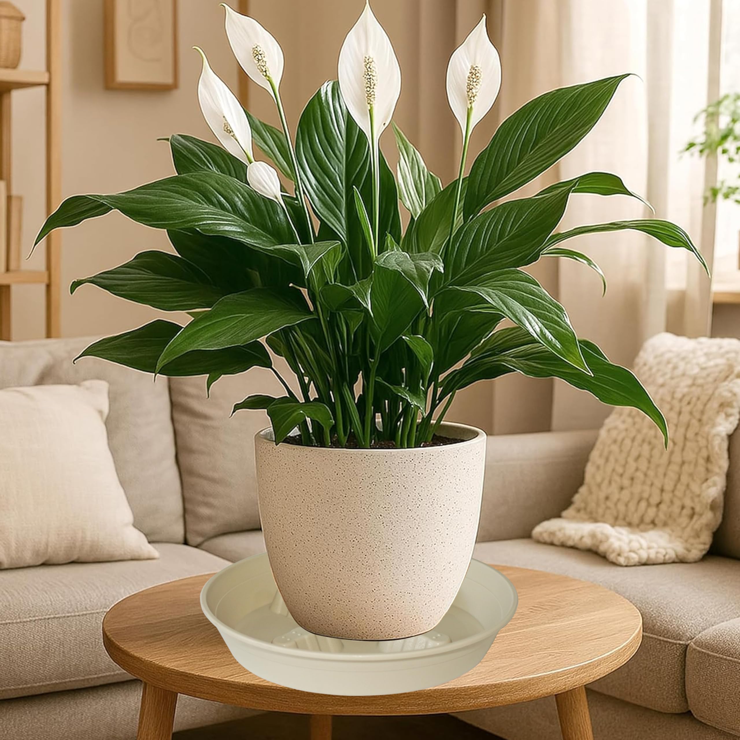 4 Pack Plant Saucer 8 inch, 10 12 14 17 inch, Plant Stand Plastic Plant Saucers for Indoors Outdoor, Heavy Duty Flower Planter Drip Trays for Pots, Pot Saucers for Plants, Grow Bags Saucers