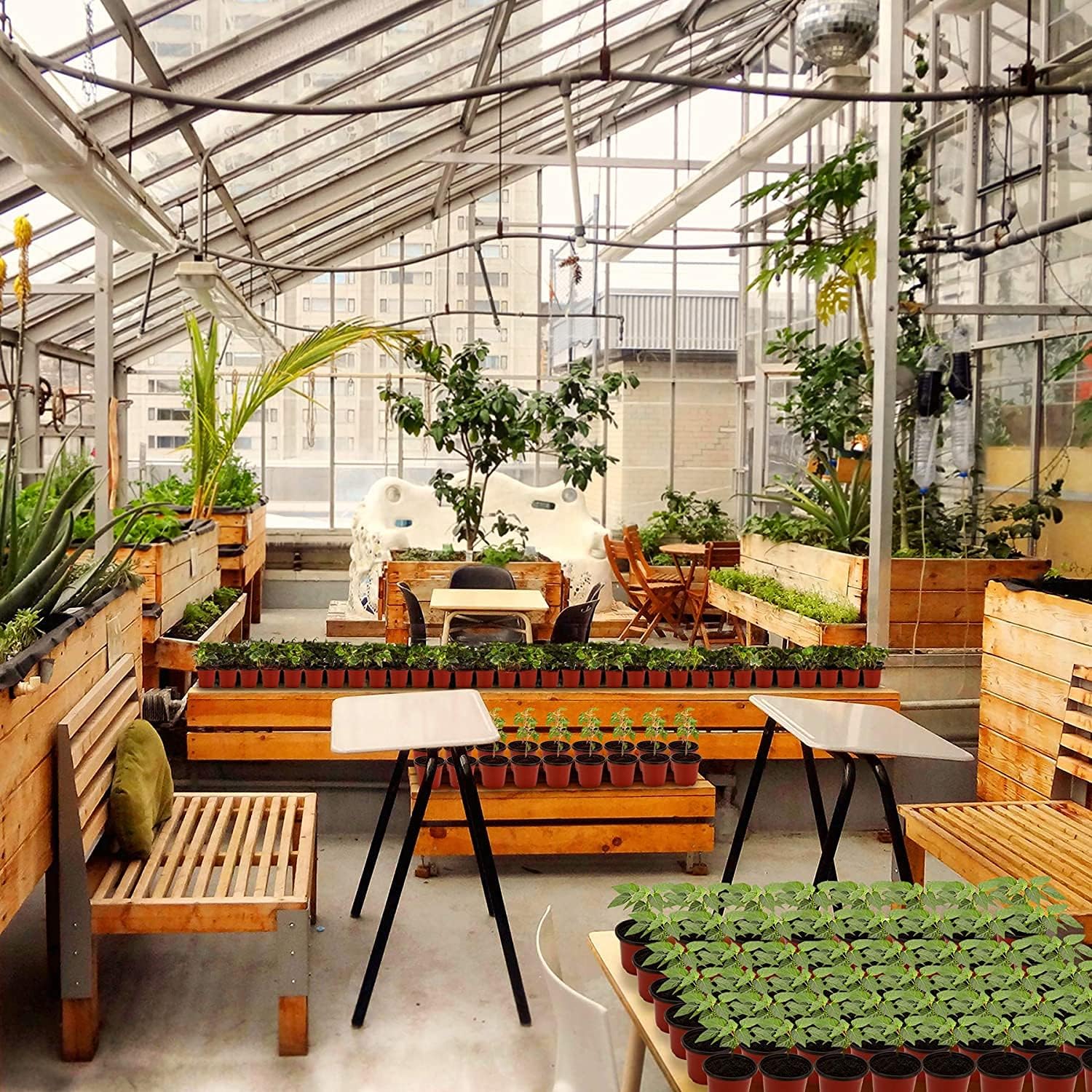 MIXC Plant Nursery Pots with Humidity Dome 4" Soft Transparent Plastic Gardening Pot Planting Containers Cups Planter Small Starter Seed Starting Trays for Seedling with 10pcs Plant Labels，30 Sets