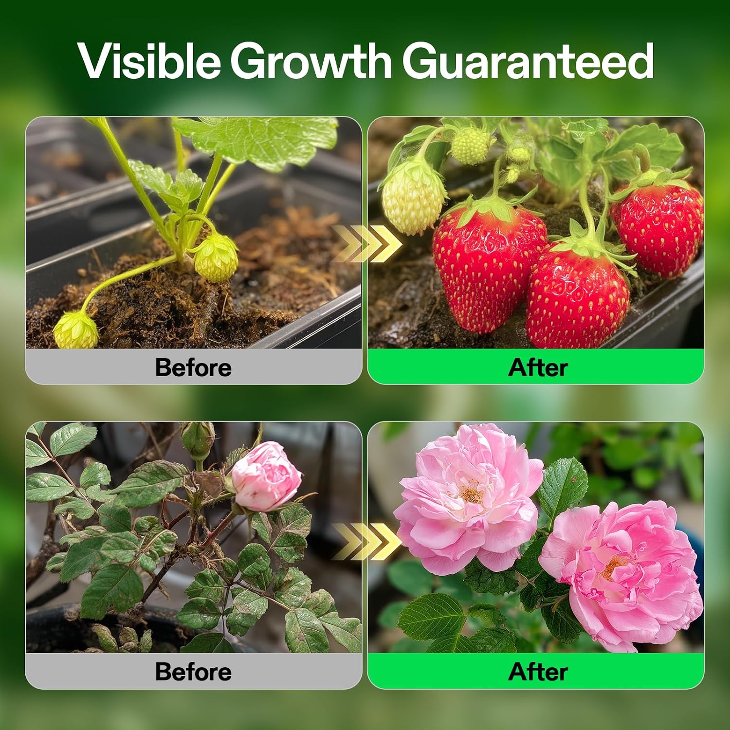 VIVOSUN Liquid Nutrients Base A & B Bundle, Set of 8oz | Grow Big Hydroponic Fertilizer, Supports Vegetative and Flowering Stages for Outdoor, Indoor Plants, Best Plant Food
