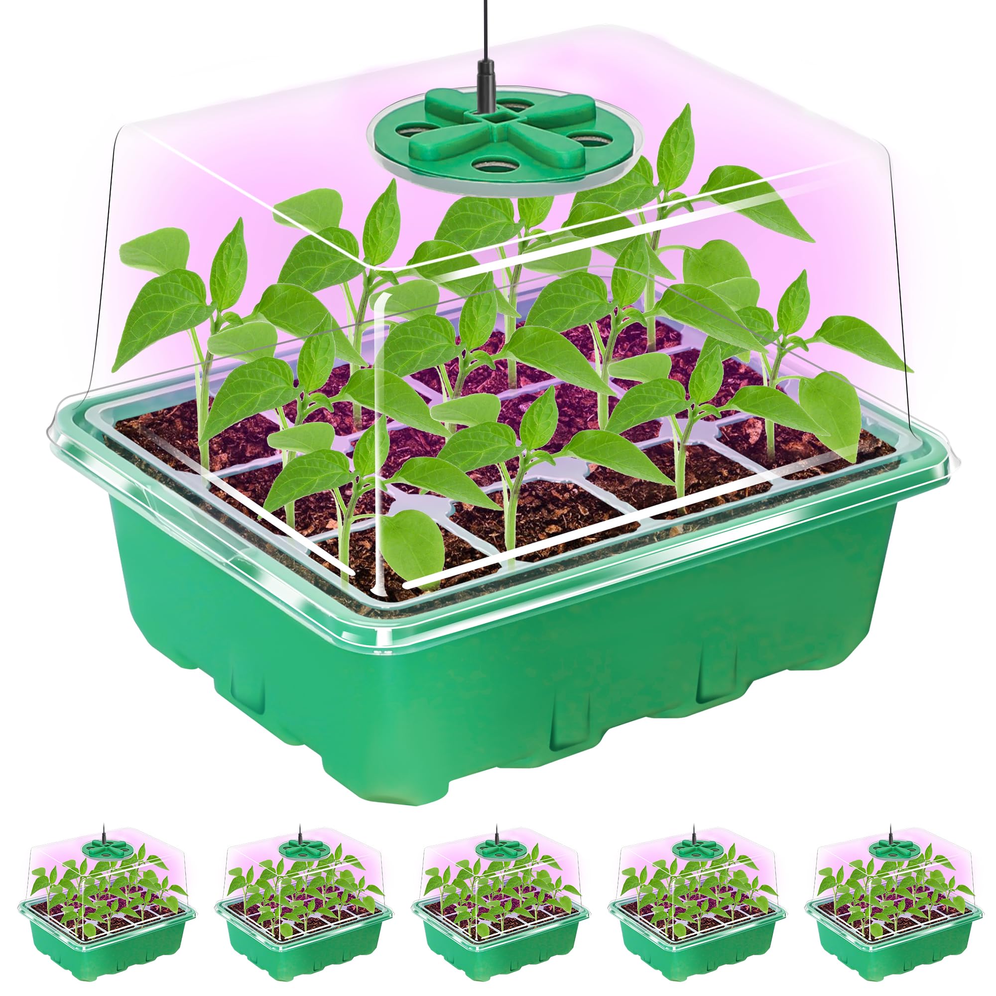 Seed Starter Trays with 12-LED Grow Lights, Clear, 5 Pack | 5 clear-base seedling kits, 60 cells, 12-LED grow light per tray, vented humidity domes, drainage holes, 1-to-5 USB cable