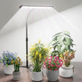 GYTF Super-Bright Plant Grow Light, 6000K 108LEDs Full Spectrum Plant Lamp with Timer 4/8/12Hrs & Height Extendable for Home Office Desktop Indoor Plants, 12V 3A High Power Output for Faster Growth
