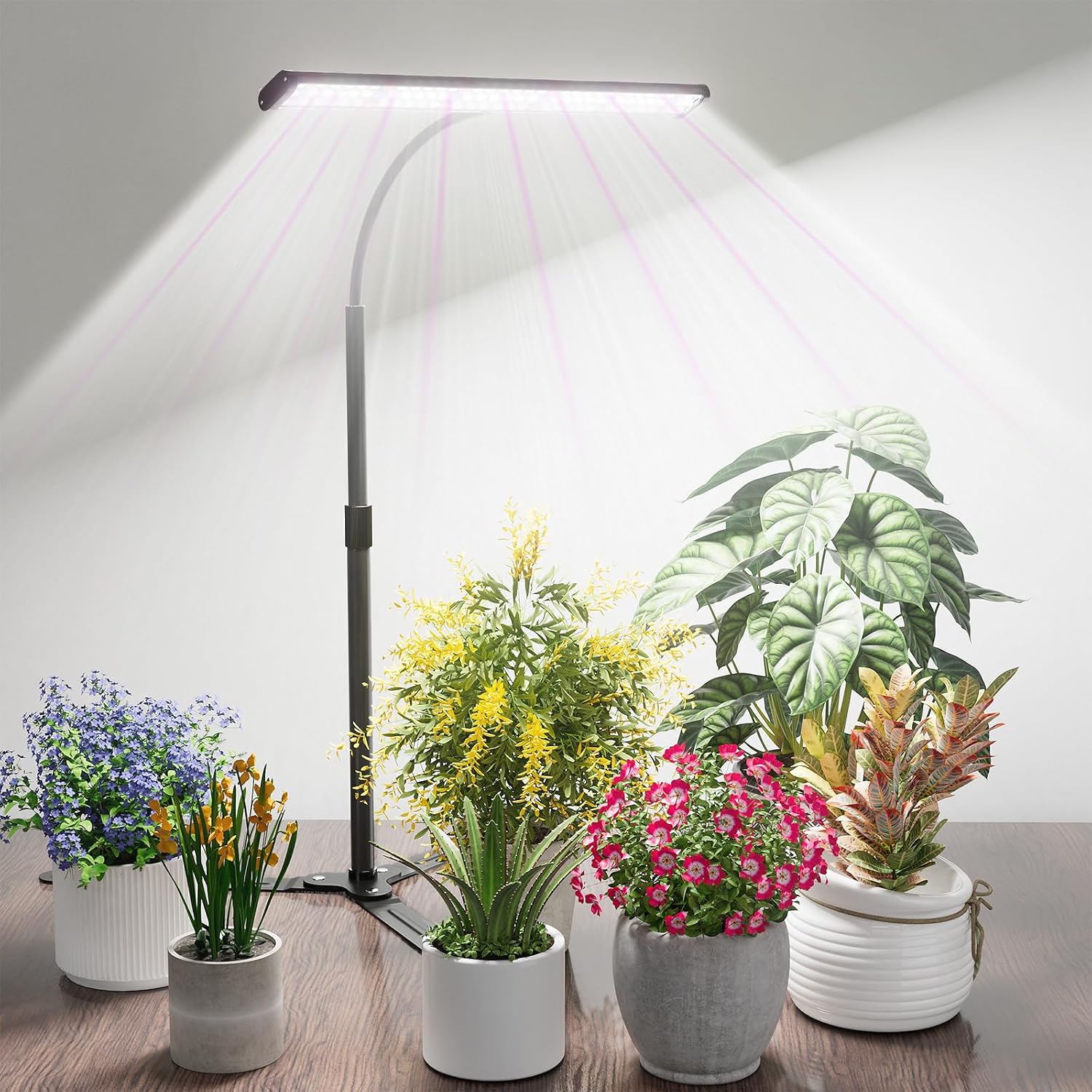 GYTF Super-Bright Plant Grow Light, 6000K 108LEDs Full Spectrum Plant Lamp with Timer 4/8/12Hrs & Height Extendable for Home Office Desktop Indoor Plants, 12V 3A High Power Output for Faster Growth