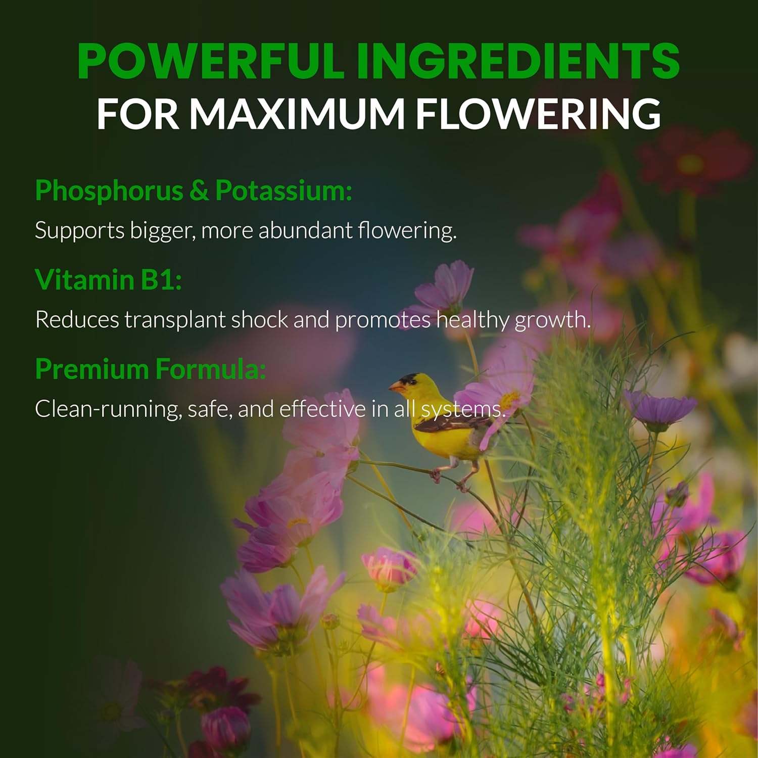 Humboldts Secret Flower Stacker | 0-7-5 Bloom Booster with Vitamin B1 | High Phosphorus Potassium Flowering Nutrients | Potting Soil Hydroponics Coco | Indoor & Outdoor Plants | 32 Ounce