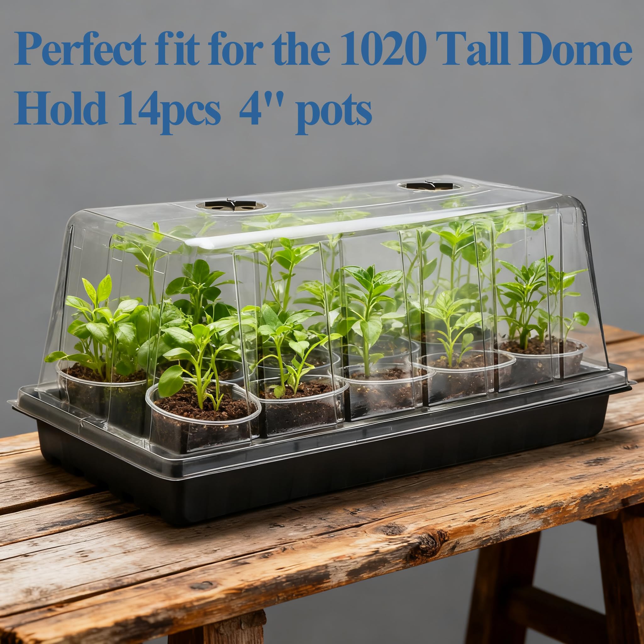BTPLASTIK 10 Pack 7.3" High Humidity Domes for 1020 Seed Trays – Thicker Platic Clear Humidity Dome with Adjustable Vents, BPA-Free, Fits Standard 10"x20" Trays for Germination, Propagation, Cloning