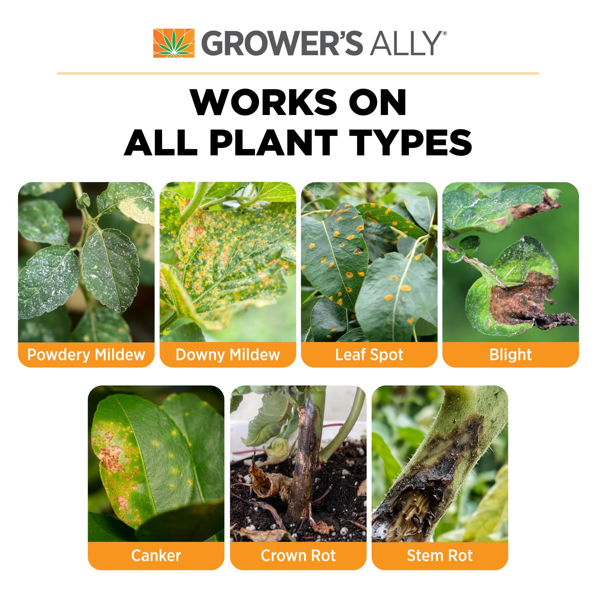 Grower's Ally Fungicide Concentrate for Plants, 8 Oz, Makes 5 Gallons