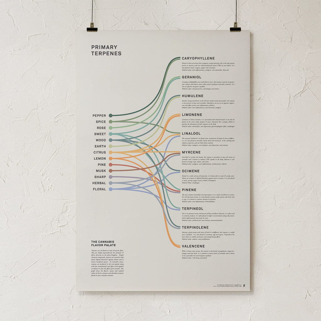 Goldleaf Primary Terpenes Art Print: The Cannabis Flavor Palate Infographic Chart, Terpene Poster, Marijuana Flavors Infographic, Elevated Stoner Decor, Weed Chart Wall Art (18x24)