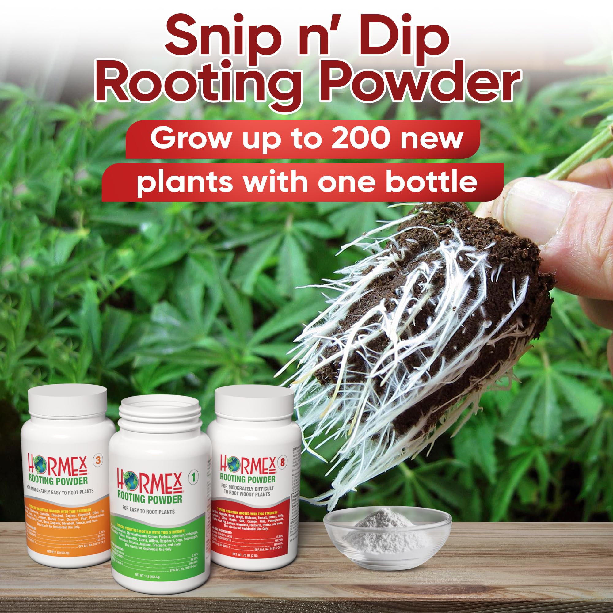 Hormex Rooting Hormone for Cuttings #16 - Max-Strength Powder (1.60% IBA) | Maximum Strength Rooting Hormone, Root Stimulator for Plants, Rooting Powder Compound for Difficult Hardwood Plants & Trees