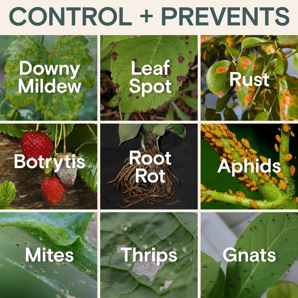 Organic Insecticide & Fungicide for Plants - Indoor/Outdoor, 16oz | Indoor and outdoor protection controls powdery mildew, spider mites, aphids, whiteflies, and fungus gnats
