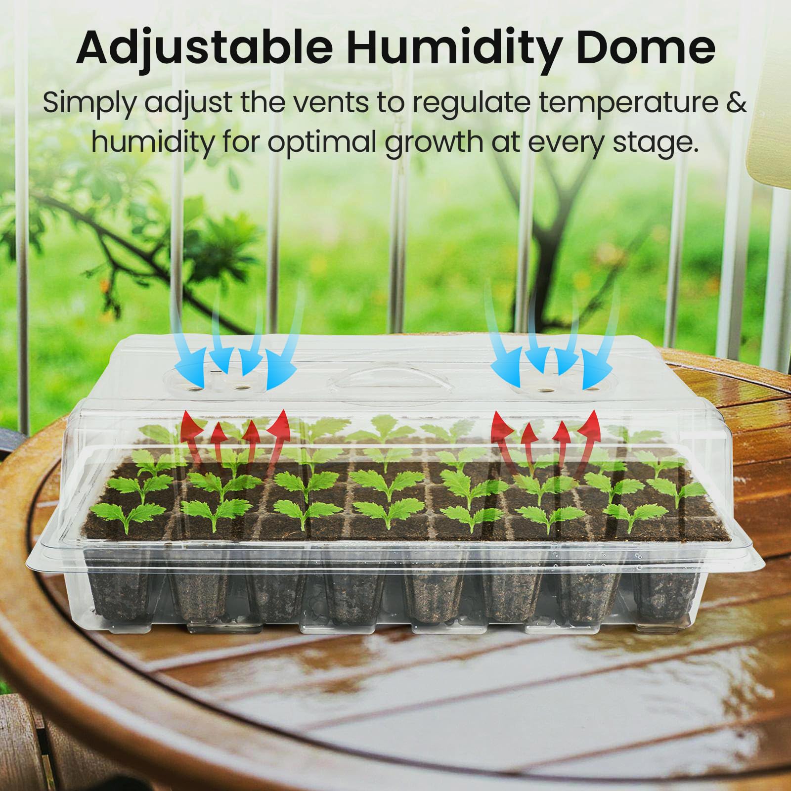 Seed Starter Trays with 12-LED Grow Lights, Clear, 5 Pack | 5 clear-base seedling kits, 60 cells, 12-LED grow light per tray, vented humidity domes, drainage holes, 1-to-5 USB cable