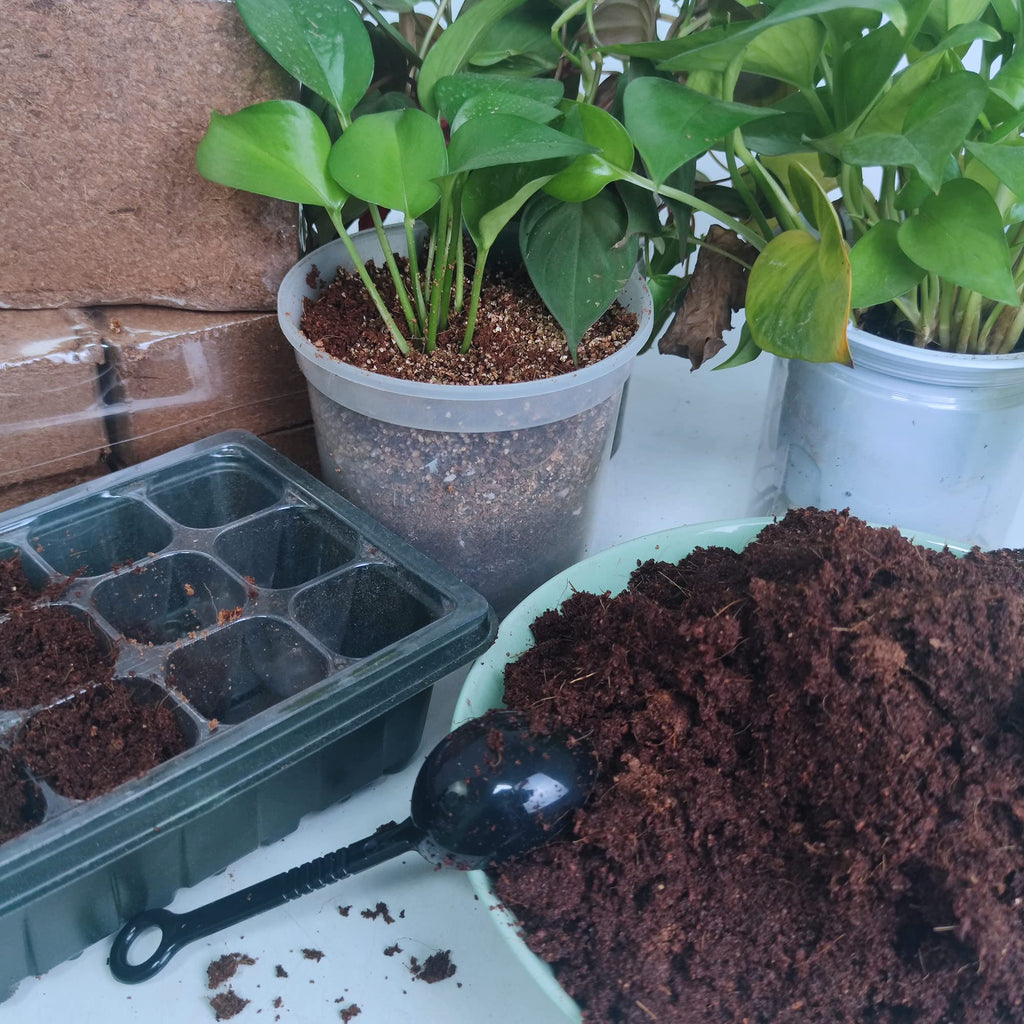 9-Pack Premium Organic Coco Coir Bricks for Plants - Low EC & pH Balance - 100% Natural Peat Moss Mix with Coconut Husk Fiber - Perfect for Gardening, Potting Soil Substrate - 12.6 lbs