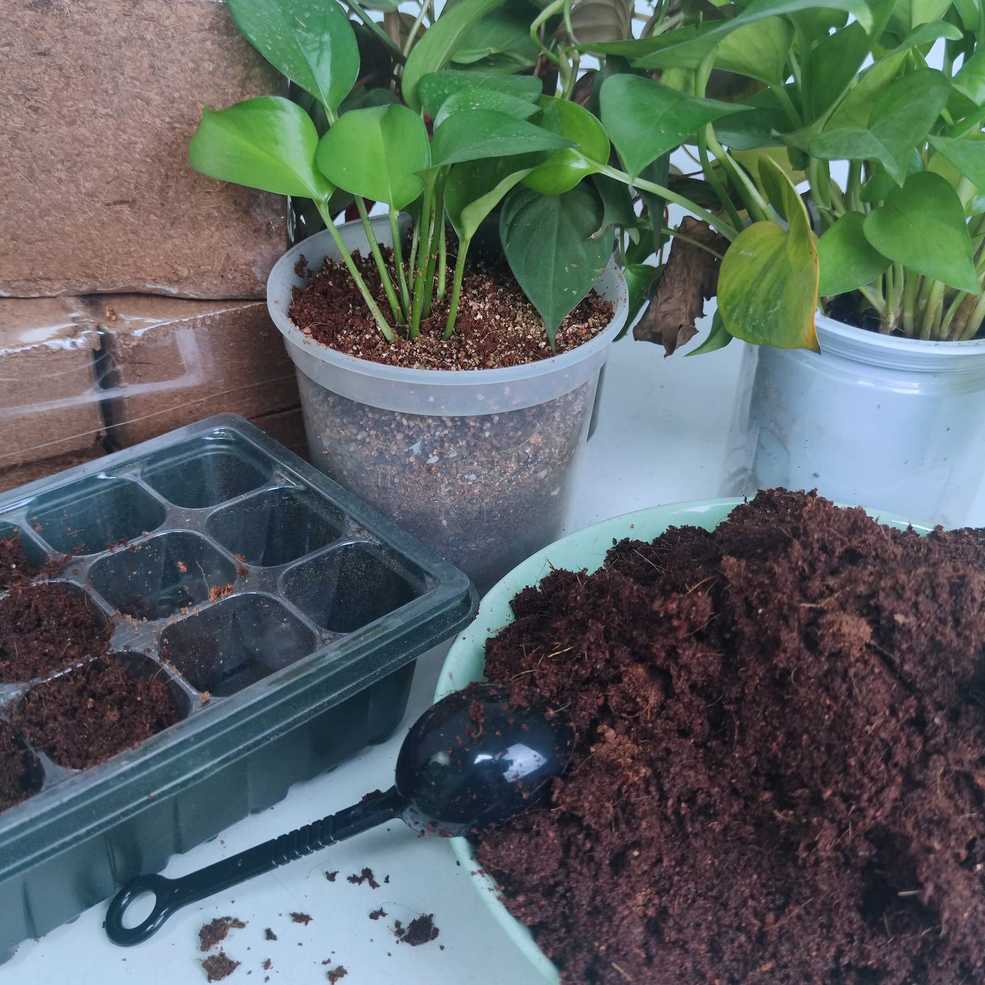 9-Pack Premium Organic Coco Coir Bricks for Plants - Low EC & pH Balance - 100% Natural Peat Moss Mix with Coconut Husk Fiber - Perfect for Gardening, Potting Soil Substrate - 12.6 lbs