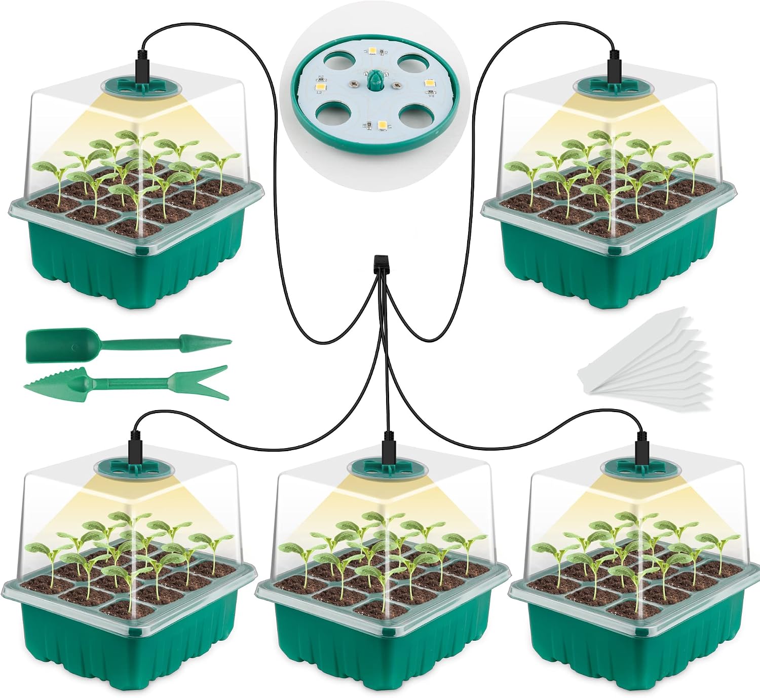 Seed Starter Tray with Grow Light, Seed Starter Kit, Plant Germination Starting Trays with Humidity Dome and Base for Greenhouse Grow Wheatgrass Hydroponic(12 Cells per Tray)