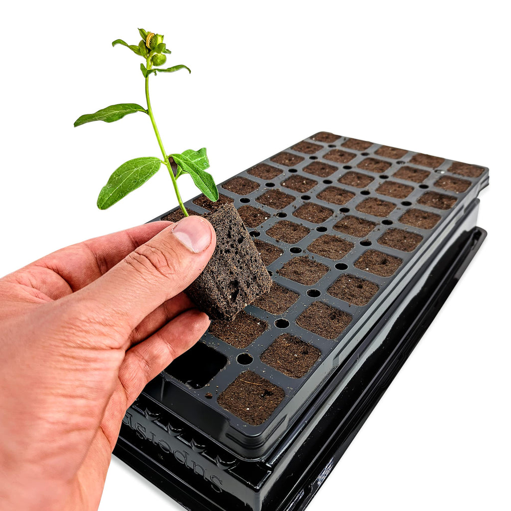 VPS OrganiPlug Hydroponic Seed Starter Plugs, 100 Pack, Rapid Root Planting Pods for Seedling, Clone, Cutting, Promotes Plant, Flower, Vegetable Growth w/Organic Soil Ingredients, Fits Standard Tray