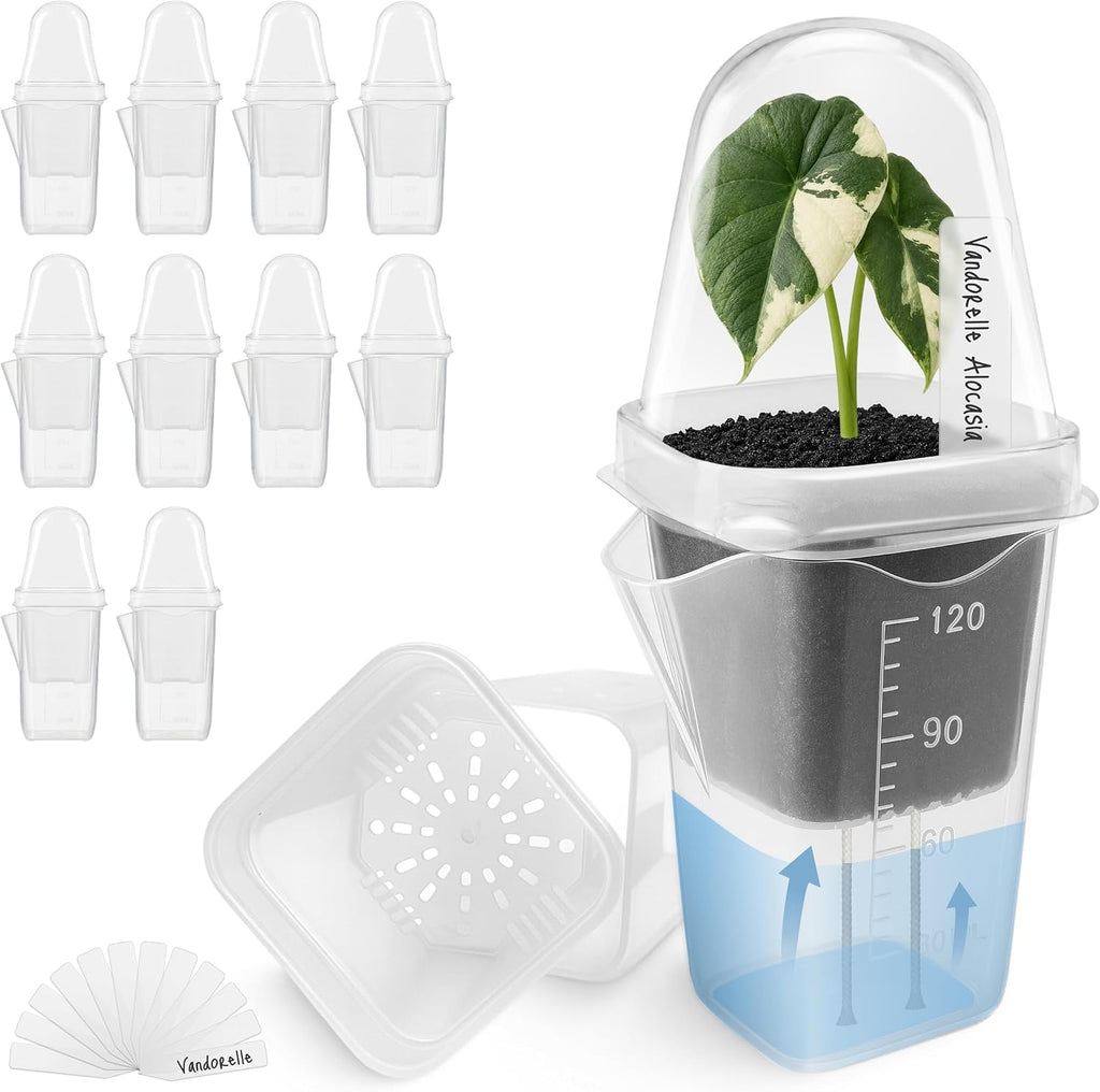 Paquete de 12 macetas pequeñas de autorriego transparente de 2 pulgadas con cúpula de humedad para plantas de interior, tazas de inicio de semillas, kit de aclimatación de cultivo de