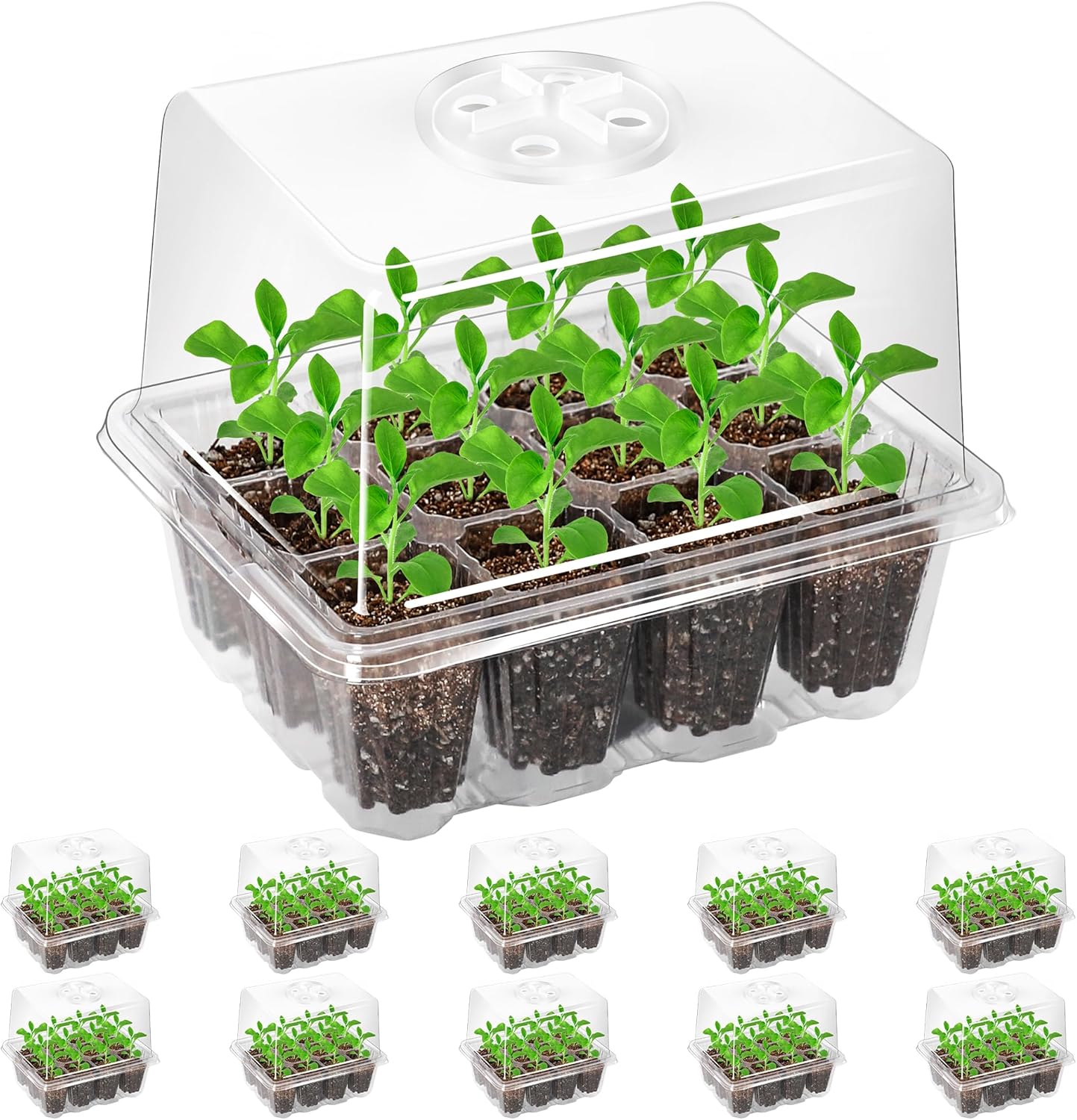 10-Pack Seed Starter Trays, Tall Dome, Base, 12-Cell Tray, Clear | 10 Seedling Kits with Tall Domes for Large Seed Starting. Adjustable Vents, Clear Trays & Heat Mat Compatibility, Indoor Use