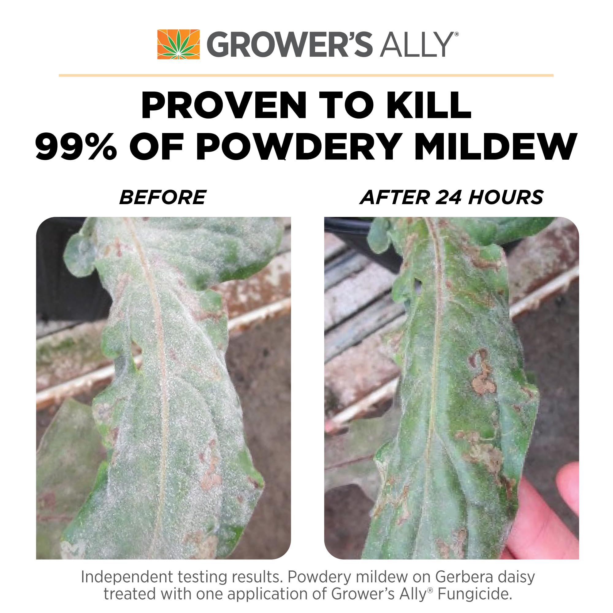 Grower's Ally Fungicide Concentrate for Plants, 8 Oz, Makes 5 Gallons