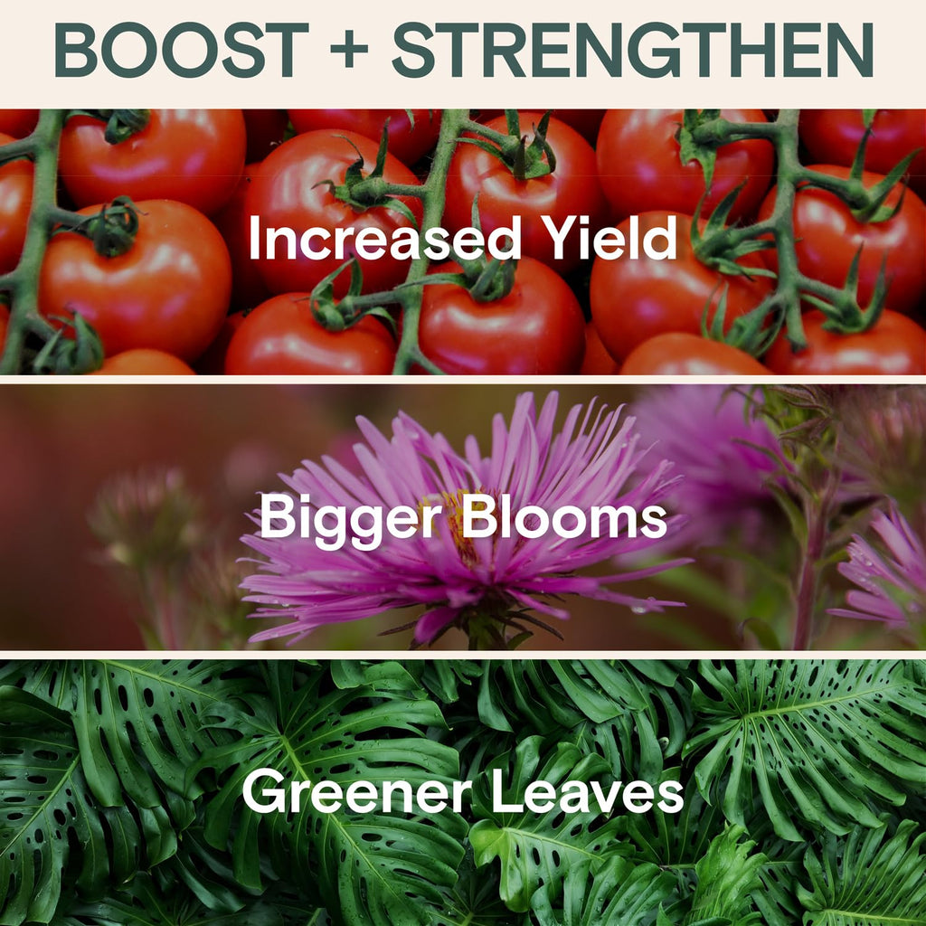 Organic Plant Food Liquid Fertilizer - Houseplants & Garden Concentrate | Nutrient Formula, Indoor and Outdoor Use, Houseplants and Gardens, Root Development, Foliage Growth, Bloom, Immunity Support