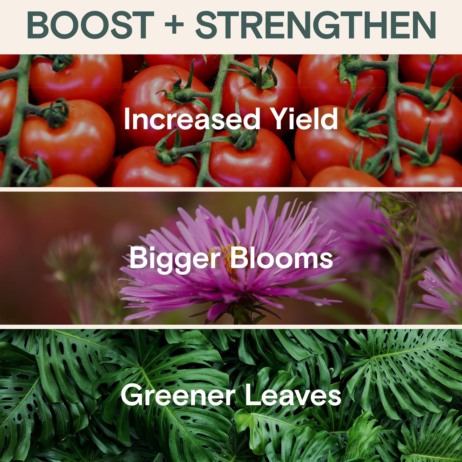 Organic Plant Food Liquid Fertilizer - Houseplants & Garden Concentrate | Nutrient Formula, Indoor and Outdoor Use, Houseplants and Gardens, Root Development, Foliage Growth, Bloom, Immunity Support