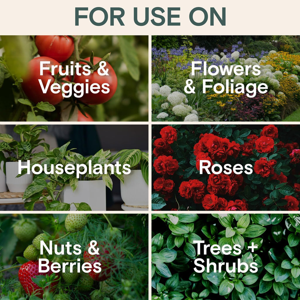 Organic Insecticide & Fungicide for Plants - Indoor/Outdoor, 16oz | Indoor and outdoor protection controls powdery mildew, spider mites, aphids, whiteflies, and fungus gnats