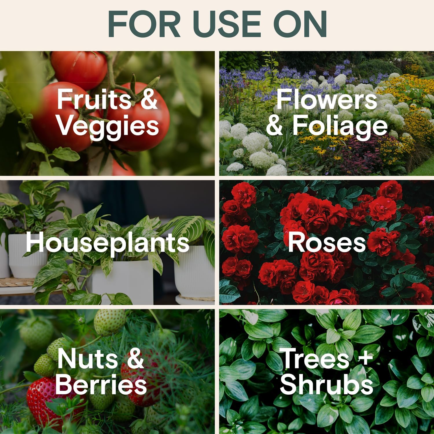 Organic Insecticide & Fungicide for Plants - Indoor/Outdoor, 16oz | Indoor and outdoor protection controls powdery mildew, spider mites, aphids, whiteflies, and fungus gnats