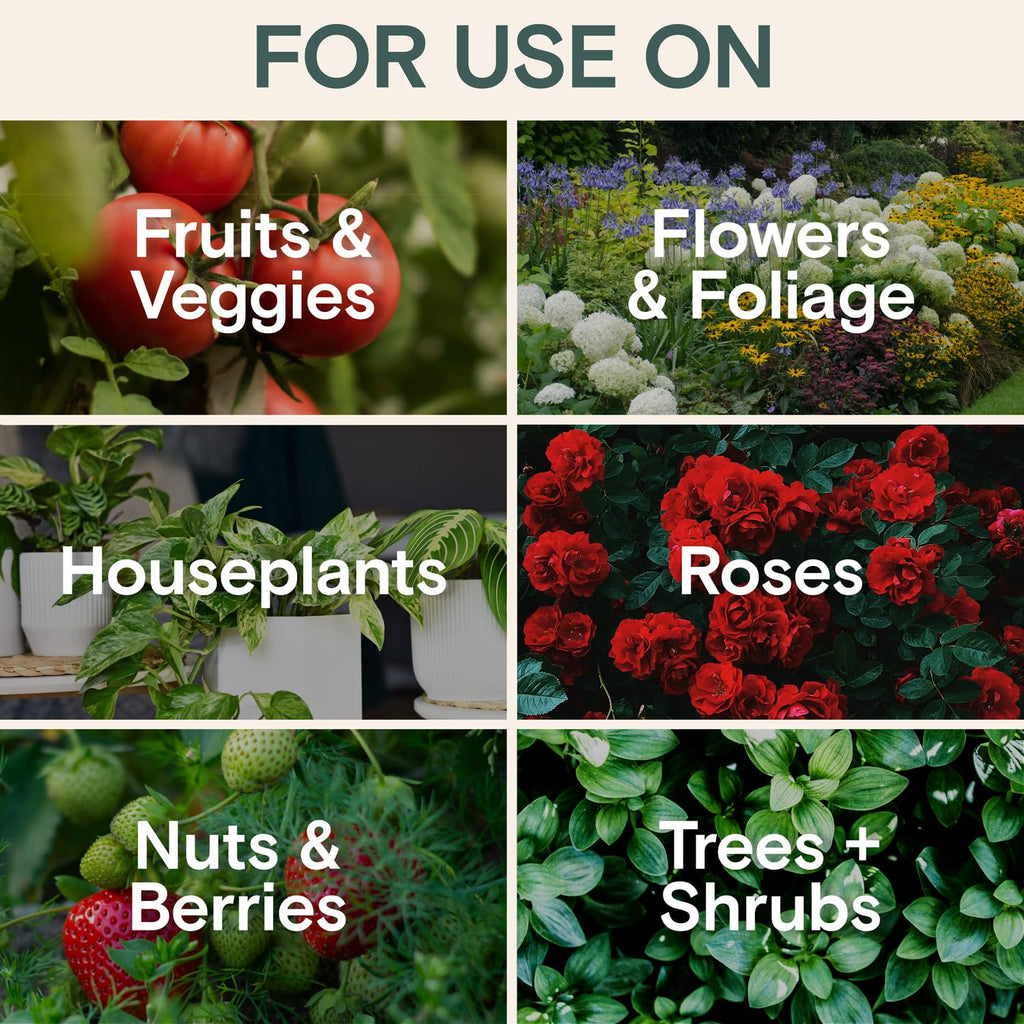 Organic Insecticide & Fungicide for Plants - Indoor/Outdoor, 16oz | Indoor and outdoor protection controls powdery mildew, spider mites, aphids, whiteflies, and fungus gnats