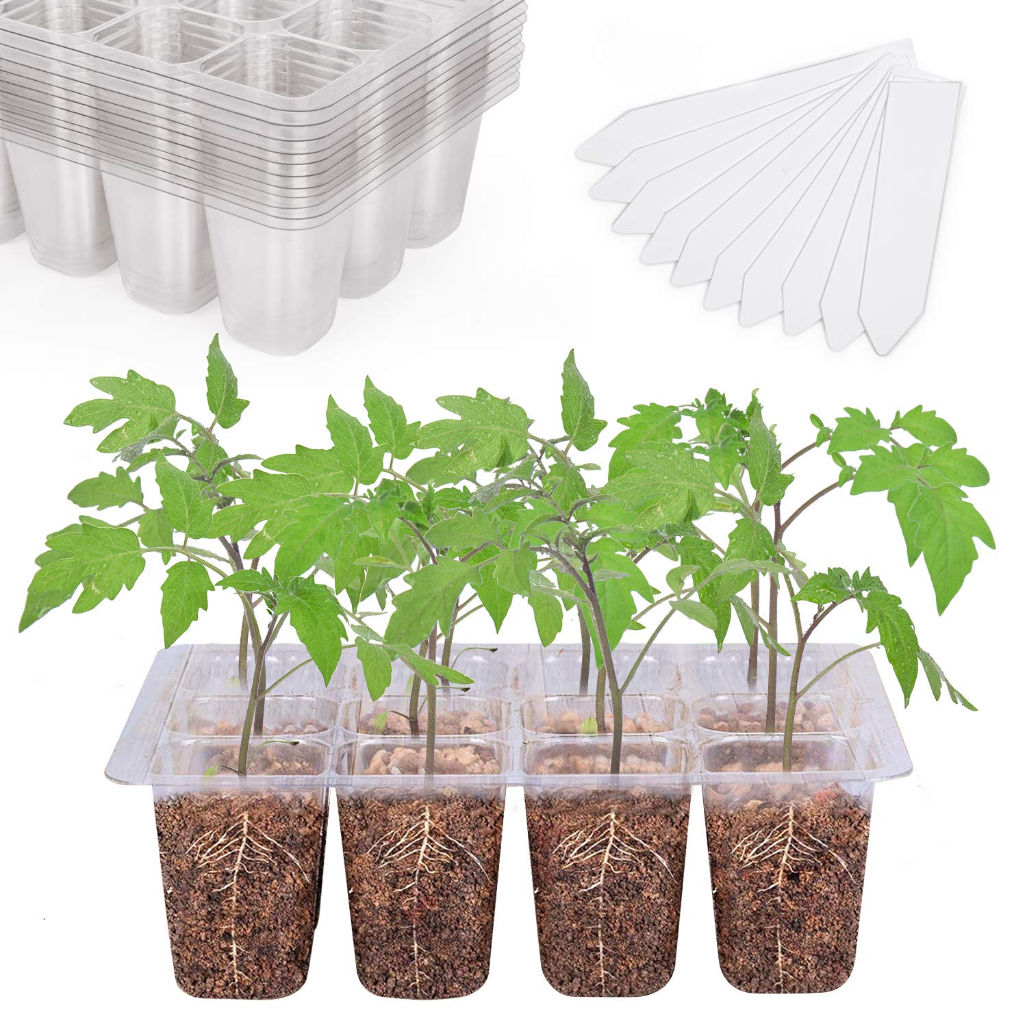 10-Pack Seed Starter Trays, Tall Dome, Base, 12-Cell Tray, Clear | 10 Seedling Kits with Tall Domes for Large Seed Starting. Adjustable Vents, Clear Trays & Heat Mat Compatibility, Indoor Use