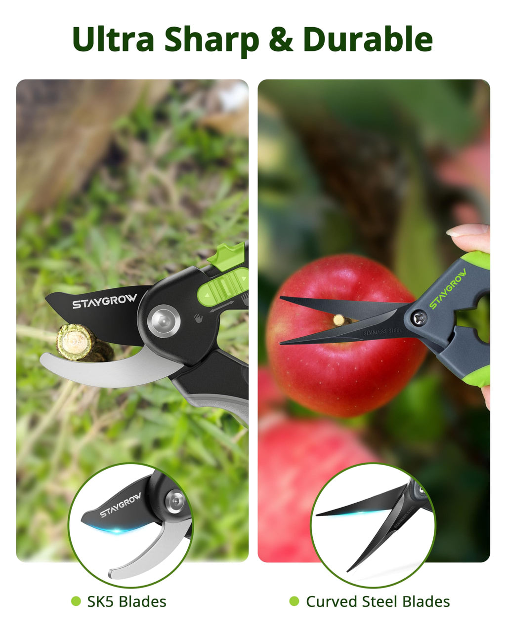 2pcs 6.5" Pruning Shears for Gardening Ultra Sharp Garden Scissors | Plant Snips for Precise Cuts, Stainless Steel Bonsai Clippers with Spring Loaded, Garden Shears (1pc Straight & 1pc Curved)