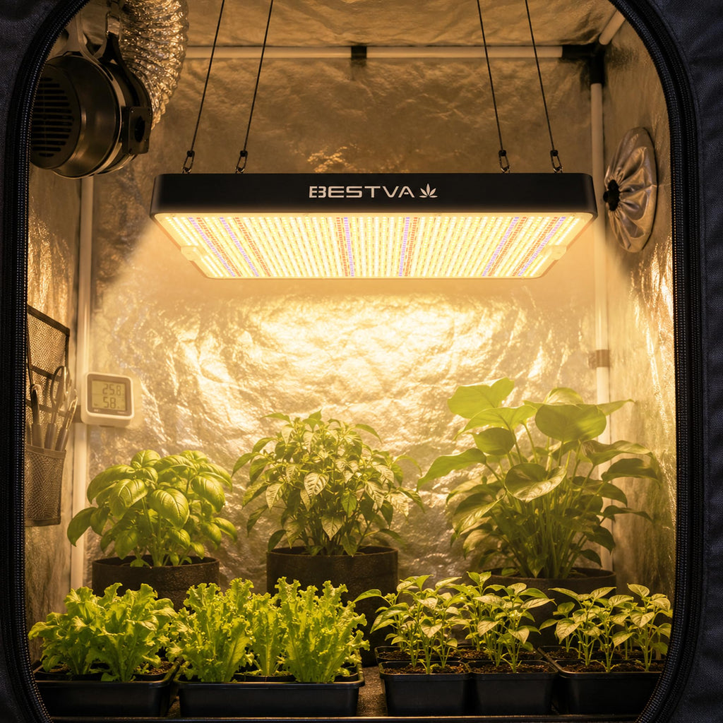 DC2000 Grow Light for Indoor Plants, Dimmable Full Spectrum LED Plant Light | BESTVA 200W LED Plant Light with Veg/Bloom Mode for Indoor Growing, Plant Lamps for Seed Starting Vegetables in 3x3 Grow Tent