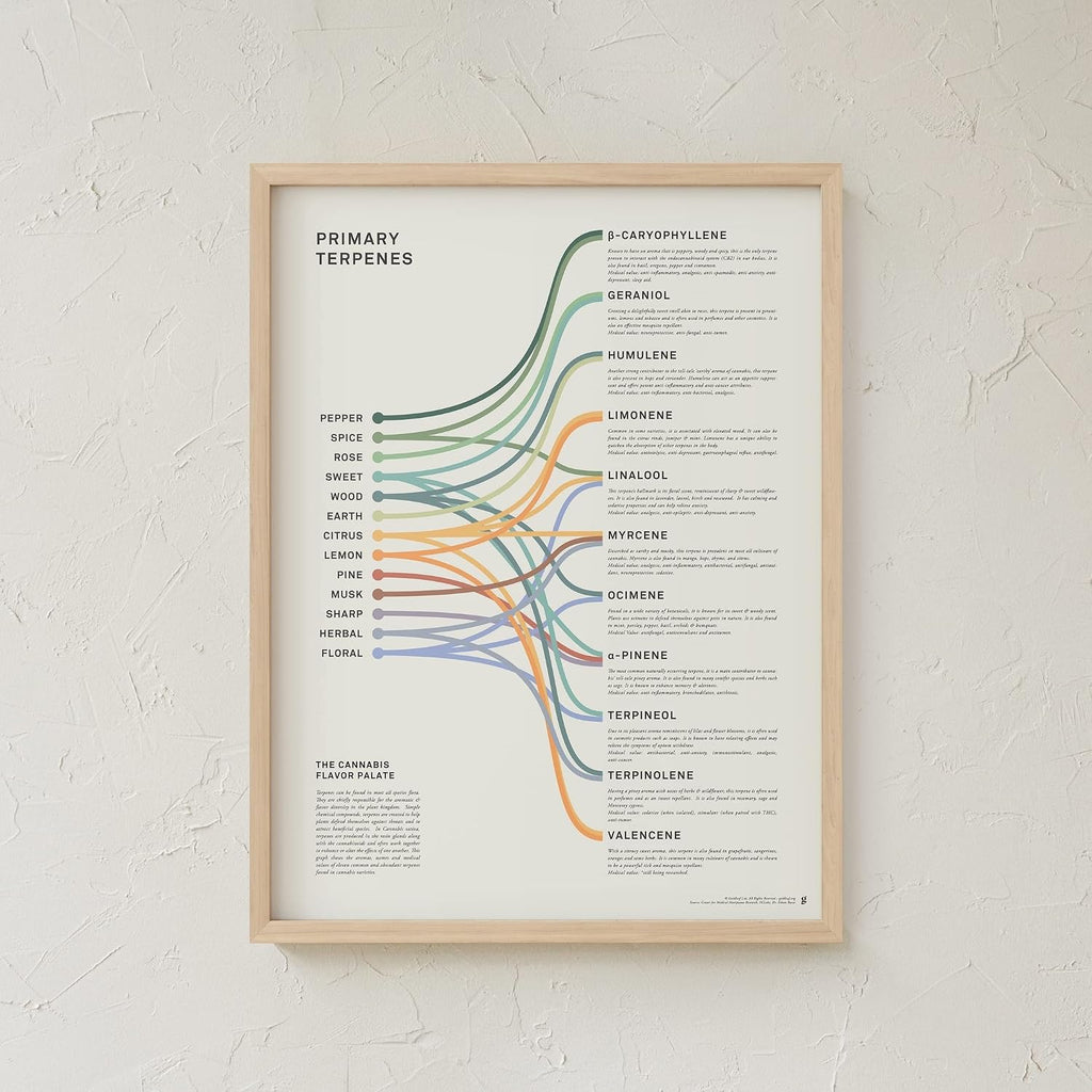 Goldleaf Primary Terpenes Art Print: The Cannabis Flavor Palate Infographic Chart, Terpene Poster, Marijuana Flavors Infographic, Elevated Stoner Decor, Weed Chart Wall Art (18x24)