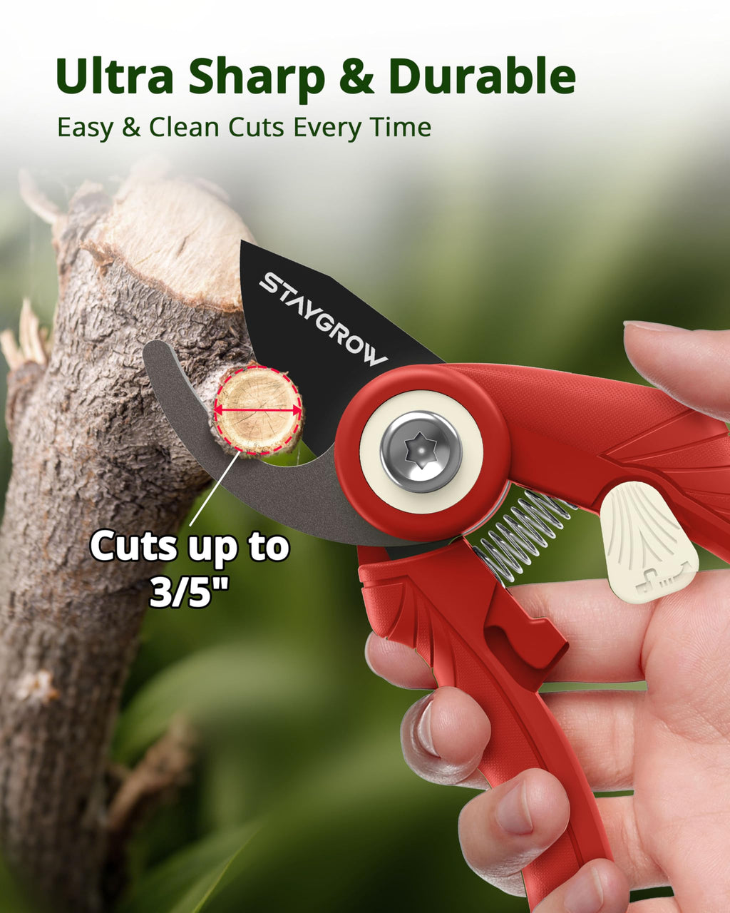 2pcs 6.5" Pruning Shears for Gardening Ultra Sharp Garden Scissors | Plant Snips for Precise Cuts, Stainless Steel Bonsai Clippers with Spring Loaded, Garden Shears (1pc Straight & 1pc Curved)