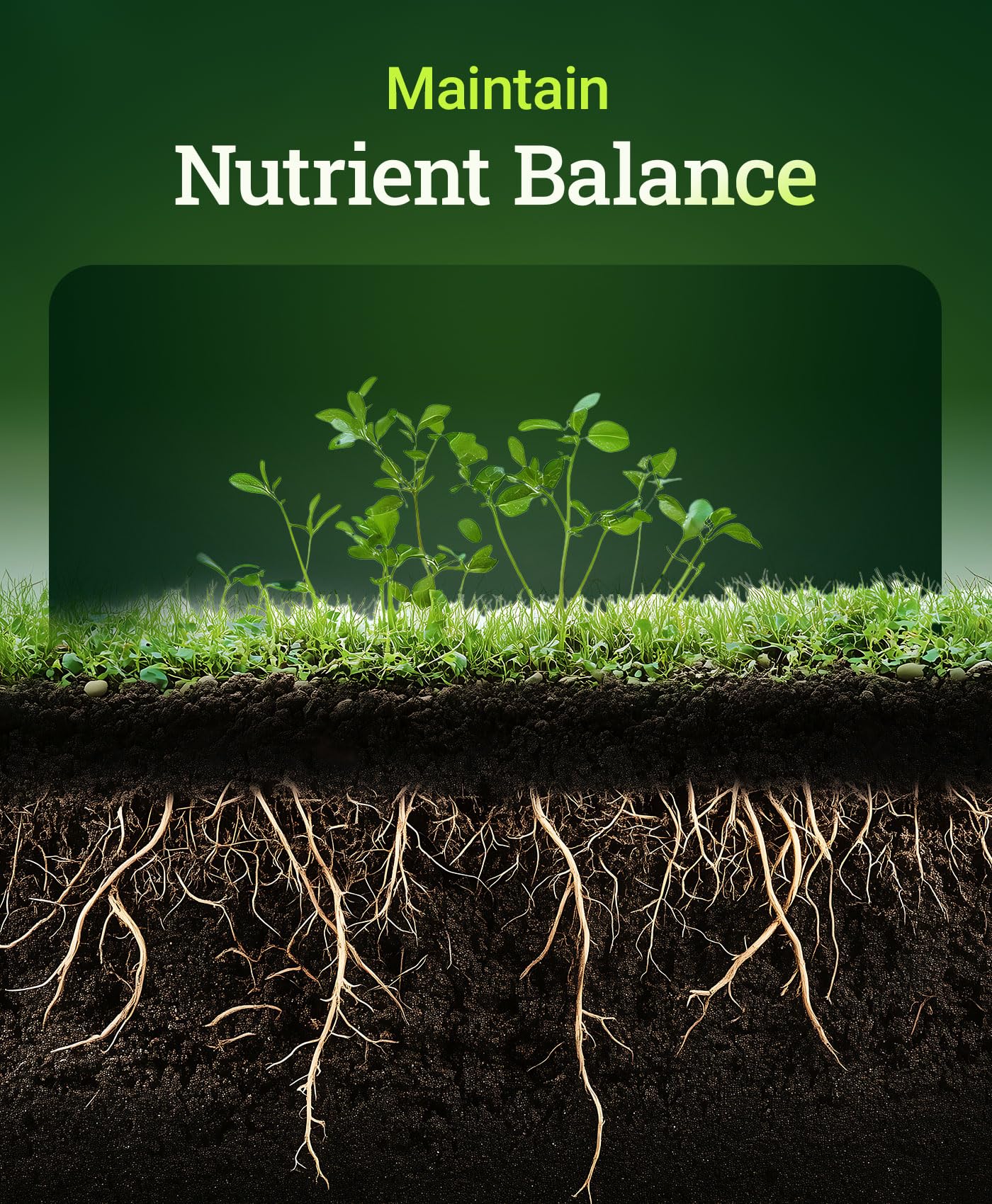 FoxFarm Bush Doctor Cal Mag for Plants - OMRI Listed for Organic Gardening - 1-0-0, 3% Calcium, 0.9% Magnesium - 1-Quart