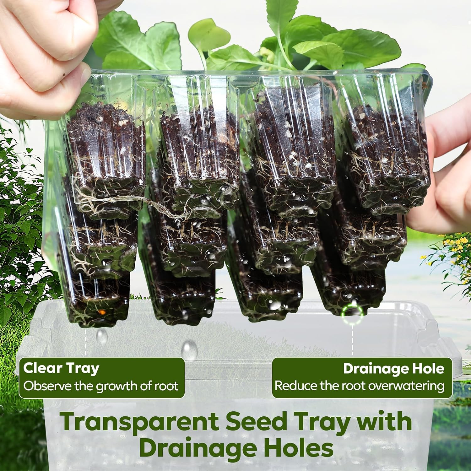 Kit de inicio de semillas MIXC con luz de crecimiento, kit de bandeja para plántulas elevadas con cúpula de humedad ajustable y bandeja de celdas transparentes, 12 perlas LED de espectro completo para