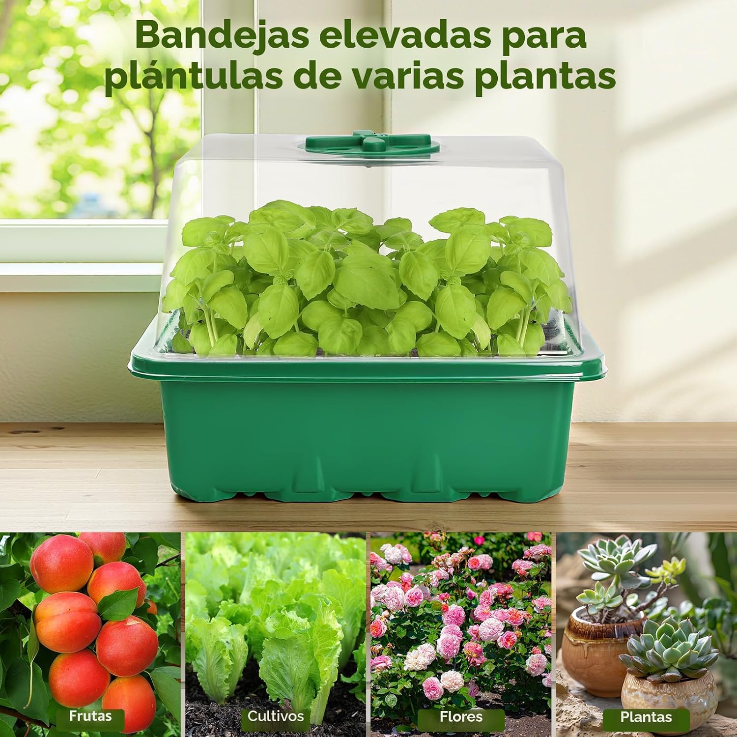 Kit de inicio de semillas MIXC con luz de crecimiento, kit de bandeja para plántulas elevadas con cúpula de humedad ajustable y bandeja de celdas transparentes, 12 perlas LED de espectro completo para