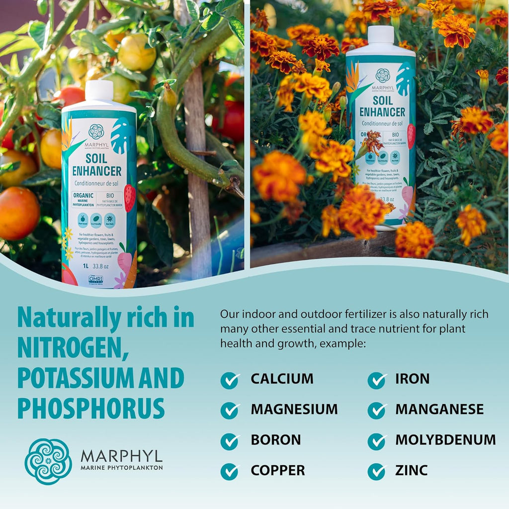MARPHYL All-Purpose Plant Food – Organic Nutrient-Rich Fertilizer & Soil Enhancer for Indoor & Outdoor Flowers, Vegetables, Succulents, Bamboo & Hydroponics