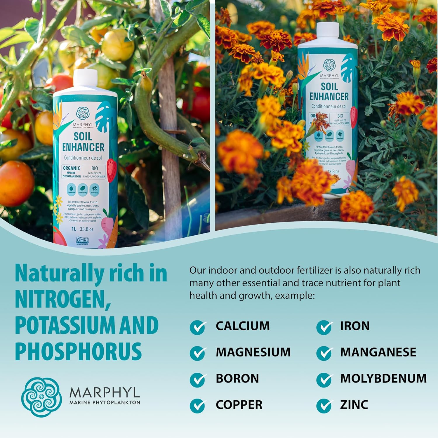 MARPHYL All-Purpose Plant Food – Organic Nutrient-Rich Fertilizer & Soil Enhancer for Indoor & Outdoor Flowers, Vegetables, Succulents, Bamboo & Hydroponics