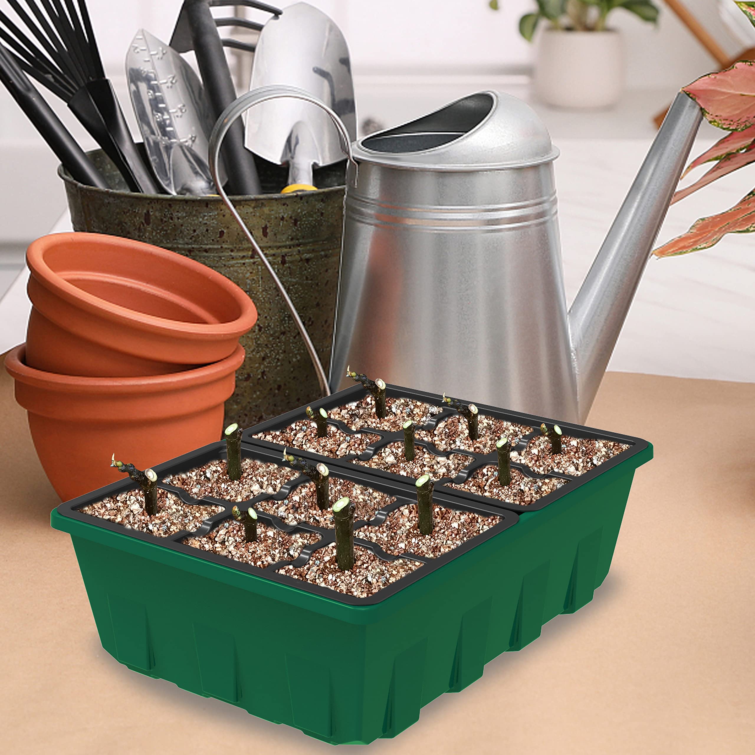 Gardzen 5-Set Seed Starter Tray Kits, Durable Plant Germination Trays with Humidity Vented Domes and Bases, Ideal for Seed Starting, Indoor Gardening, and Greenhouse (Total 200 Cells) | Durable Plant Germination Kit with Humidity Control Domes for Indoor
