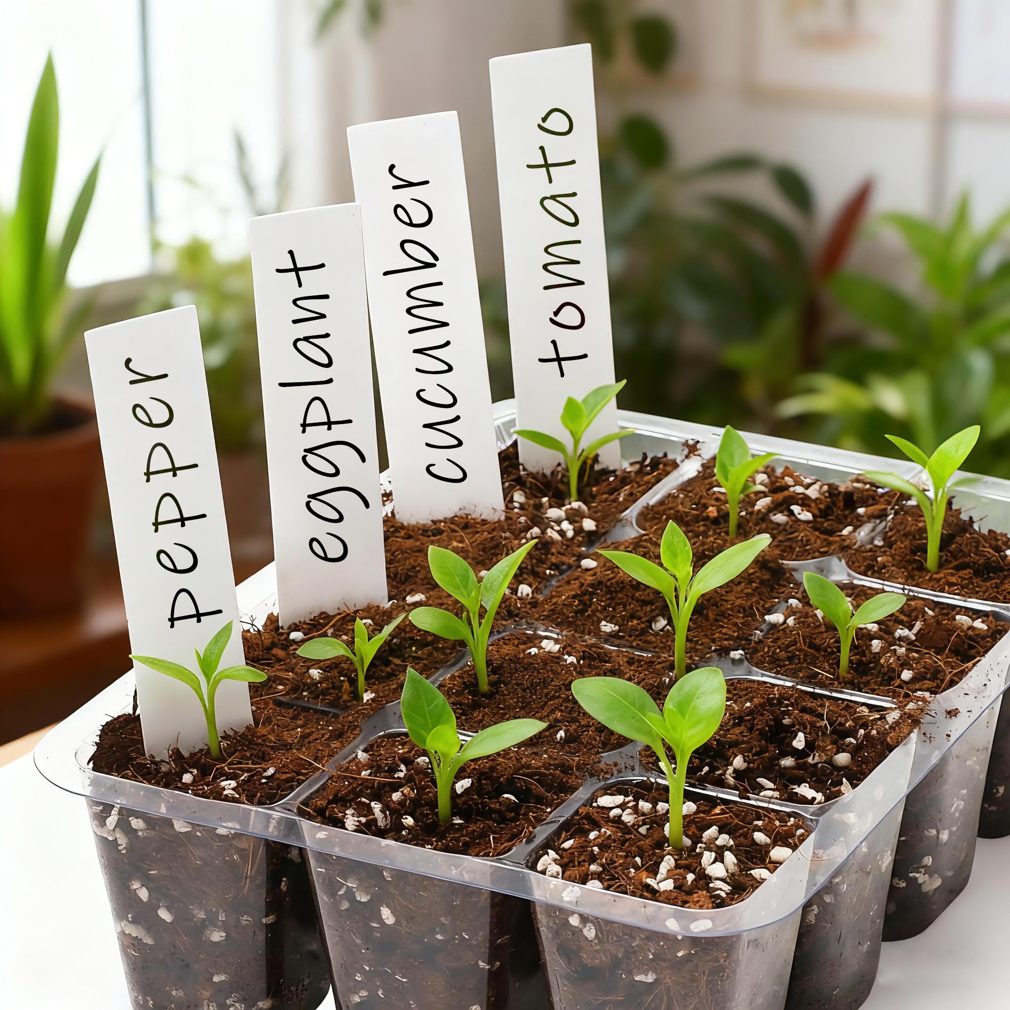 10-Pack Seed Starter Trays, Tall Dome, Base, 12-Cell Tray, Clear | 10 Seedling Kits with Tall Domes for Large Seed Starting. Adjustable Vents, Clear Trays & Heat Mat Compatibility, Indoor Use
