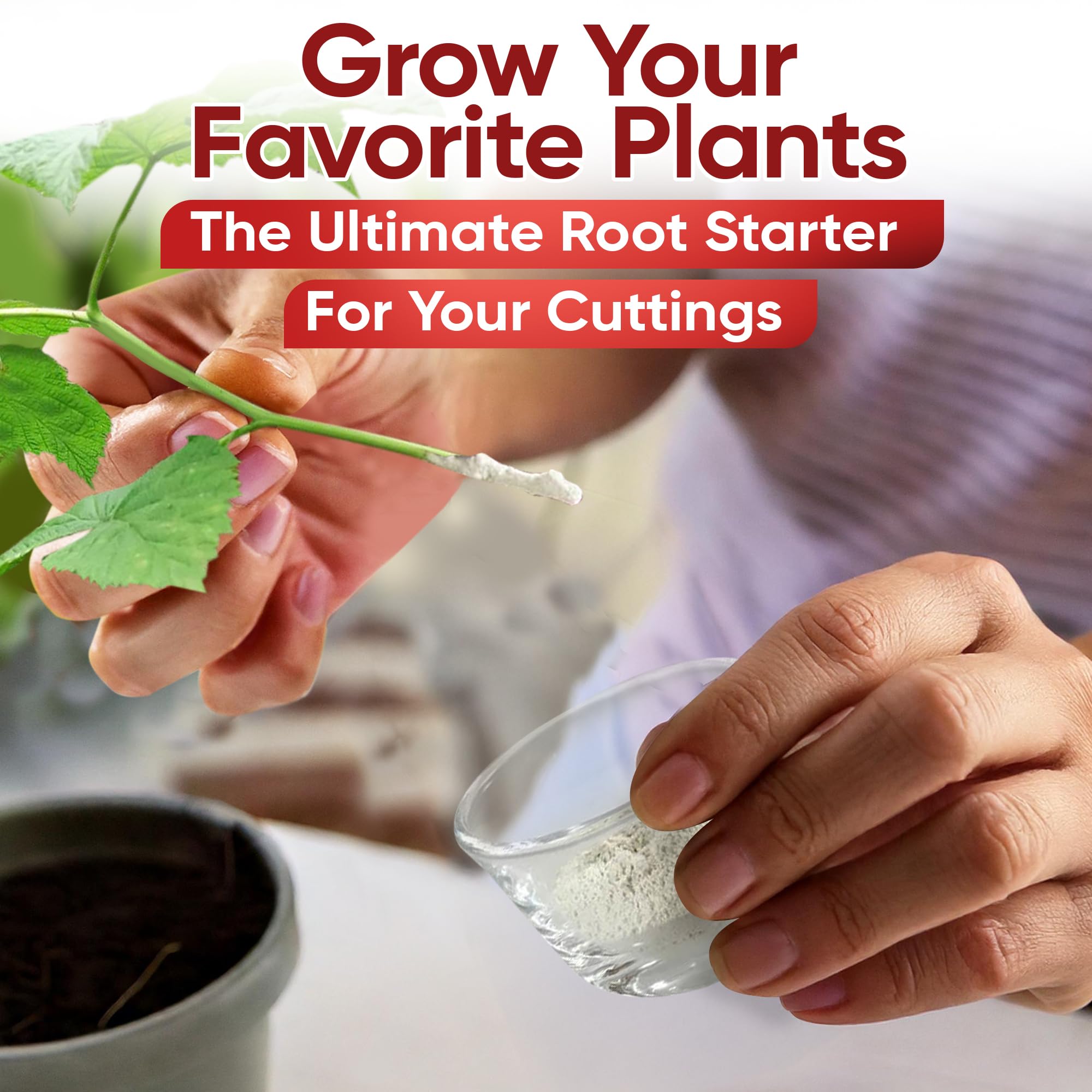 Hormex Rooting Hormone for Cuttings #16 - Max-Strength Powder (1.60% IBA) | Maximum Strength Rooting Hormone, Root Stimulator for Plants, Rooting Powder Compound for Difficult Hardwood Plants & Trees